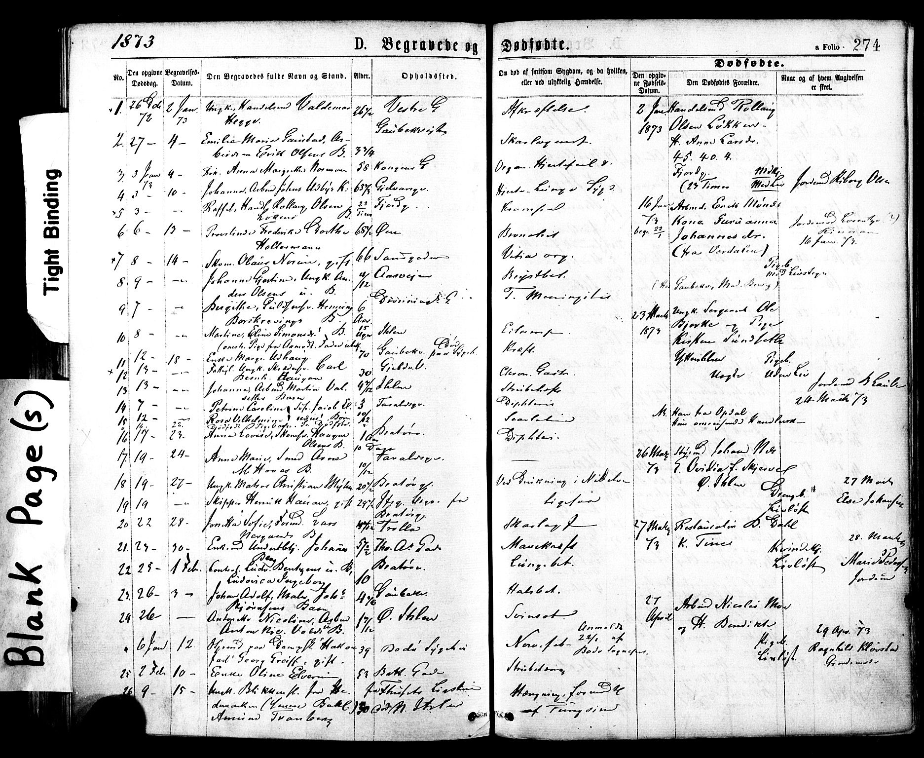 Ministerialprotokoller, klokkerbøker og fødselsregistre - Sør-Trøndelag, SAT/A-1456/602/L0118: Parish register (official) no. 602A16, 1873-1879, p. 274
