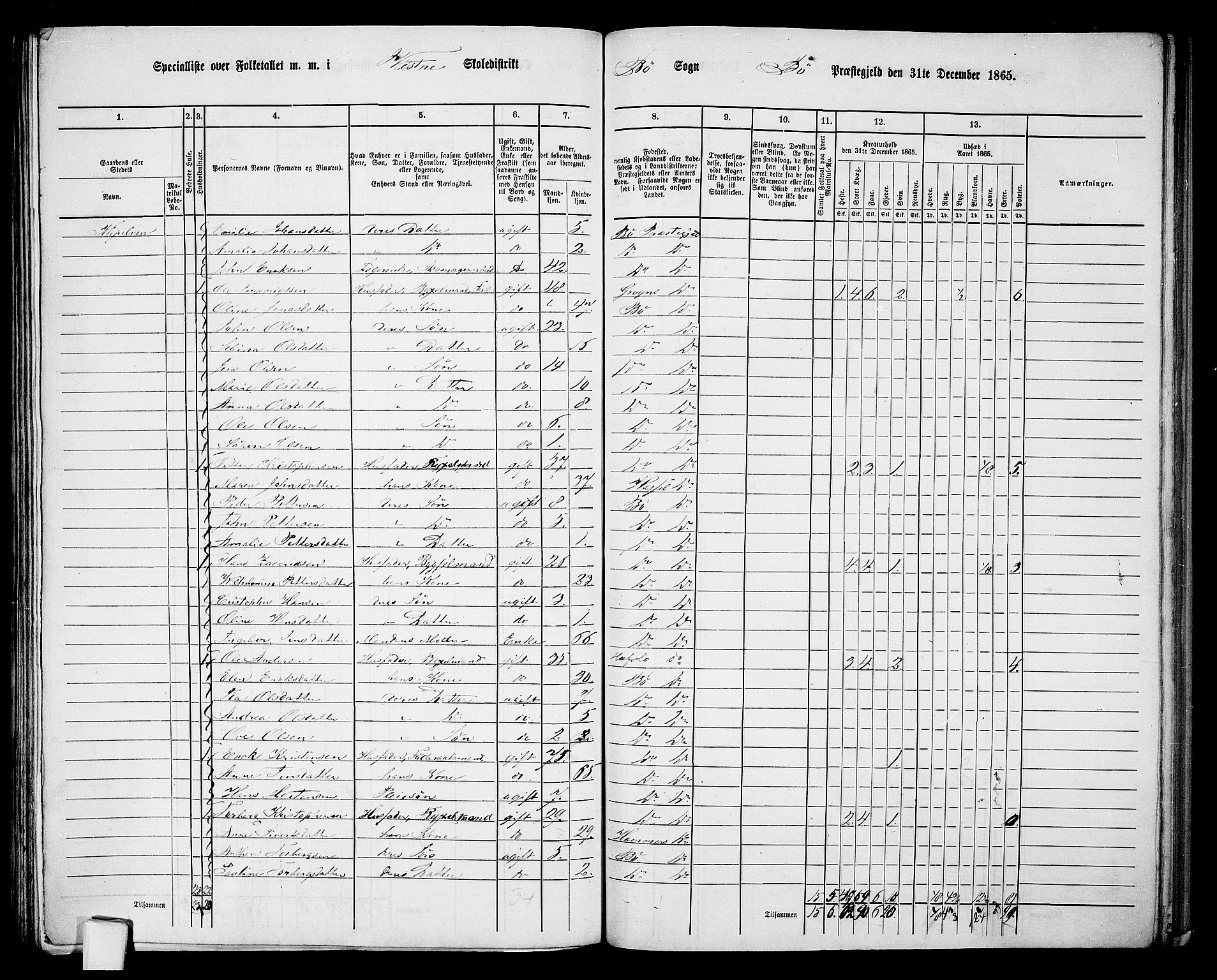 RA, 1865 census for Bø, 1865, p. 80