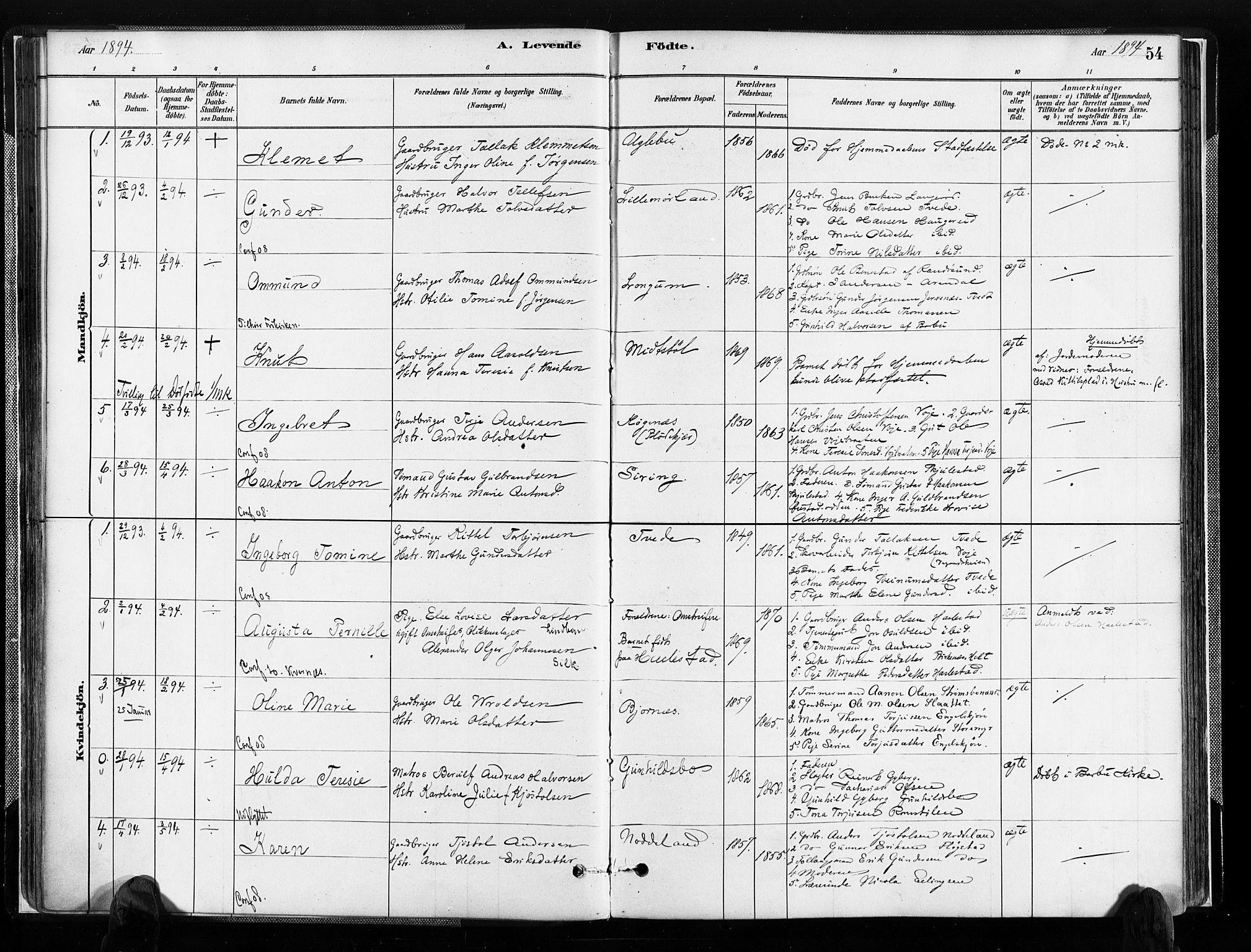 Austre Moland sokneprestkontor, SAK/1111-0001/F/Fa/Faa/L0010: Parish register (official) no. A 10, 1880-1904, p. 54