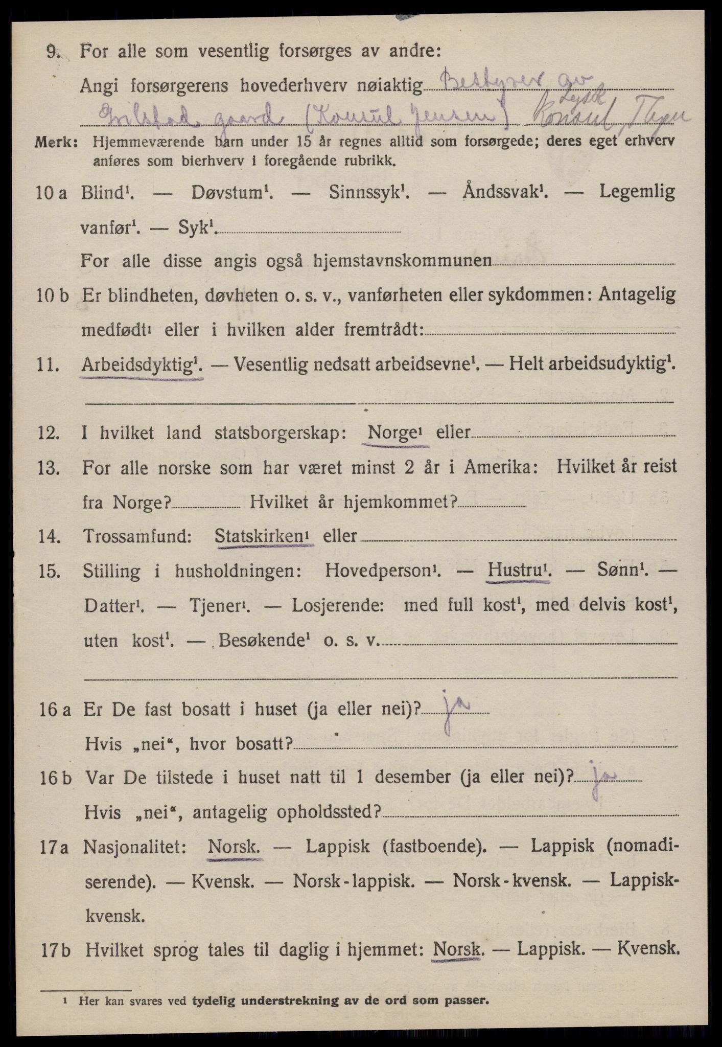 SAT, 1920 census for Strinda, 1920, p. 10273