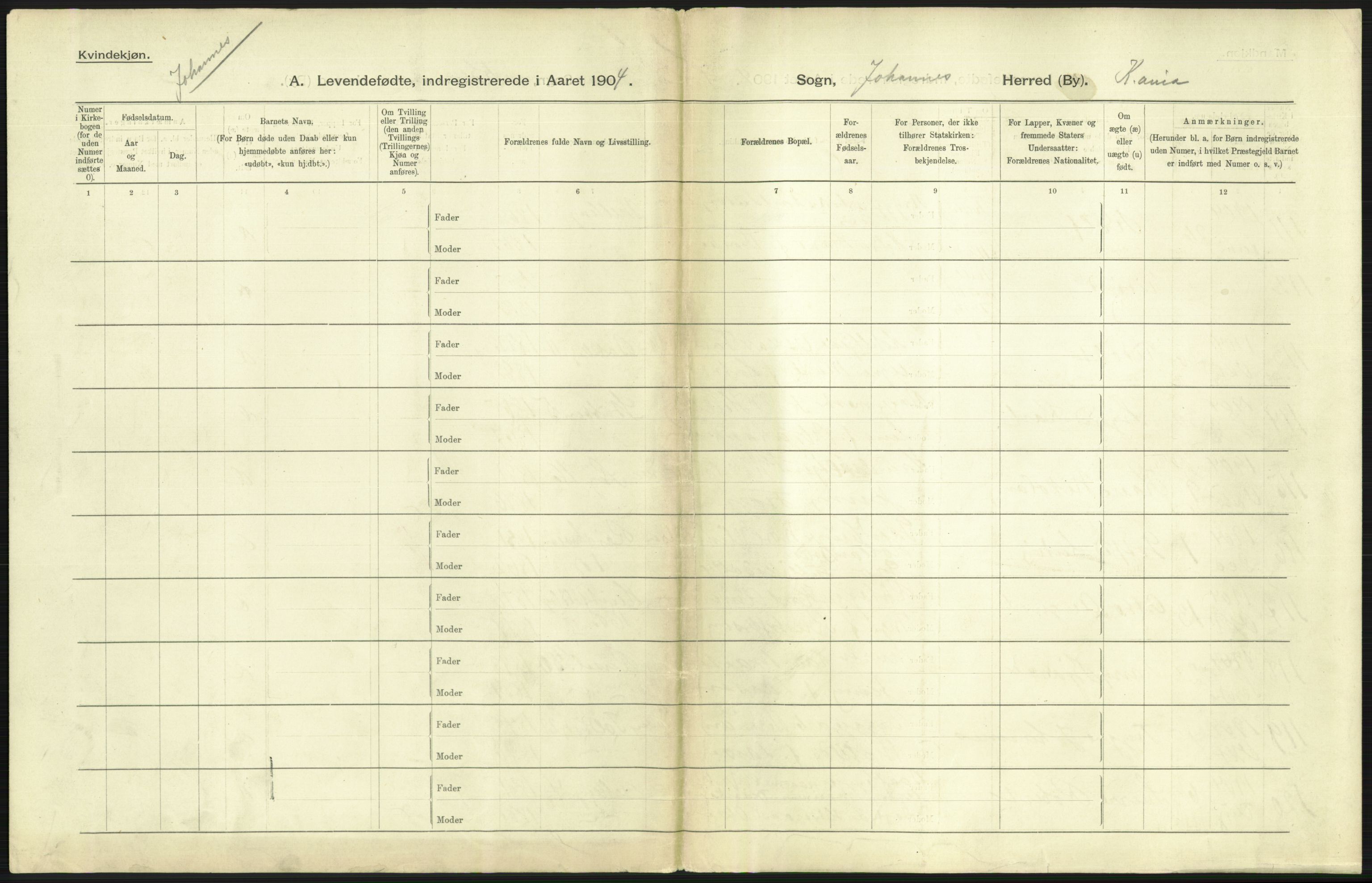 Statistisk sentralbyrå, Sosiodemografiske emner, Befolkning, AV/RA-S-2228/D/Df/Dfa/Dfab/L0003: Kristiania: Fødte, 1904, p. 229