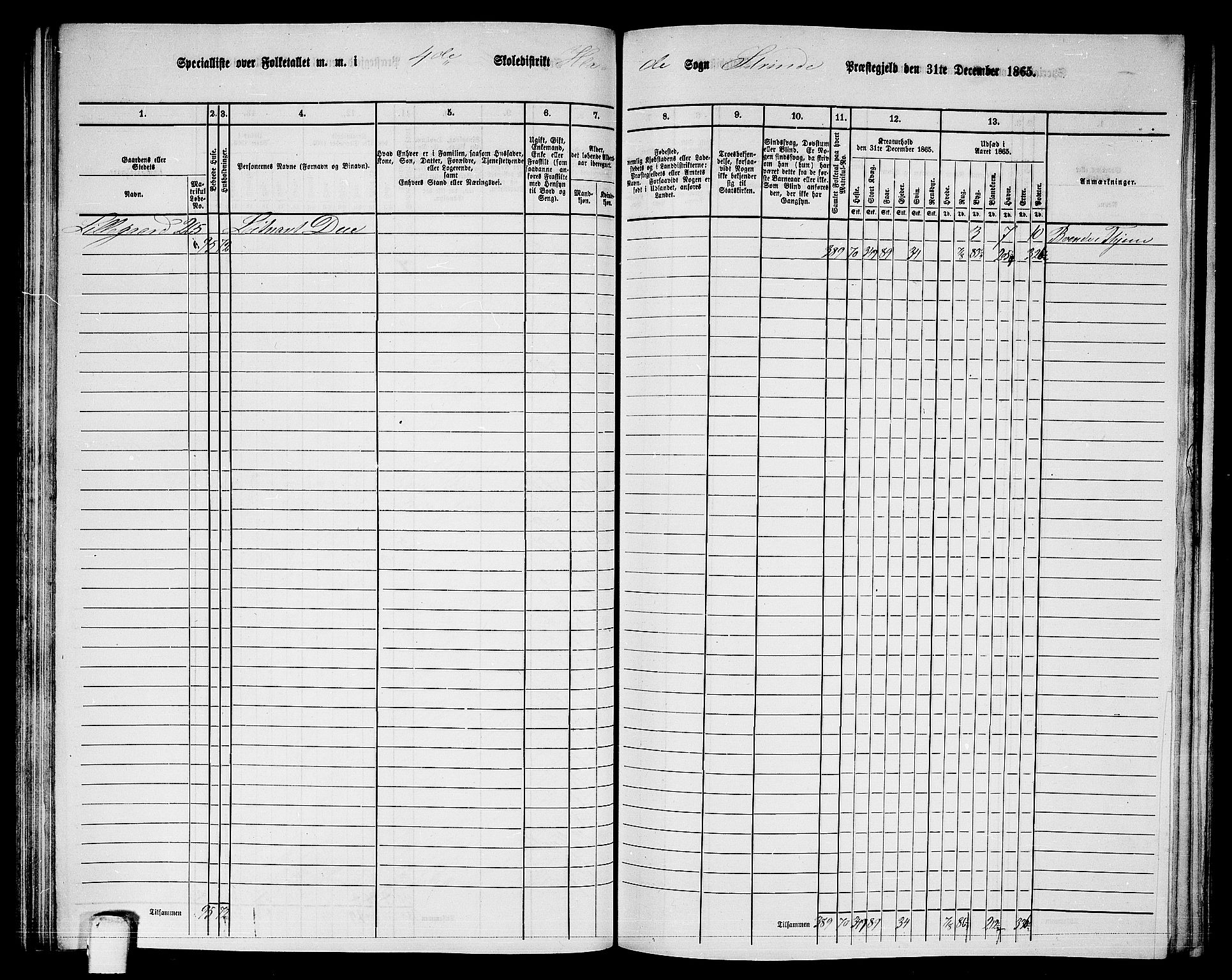 RA, 1865 census for Strinda, 1865, p. 118