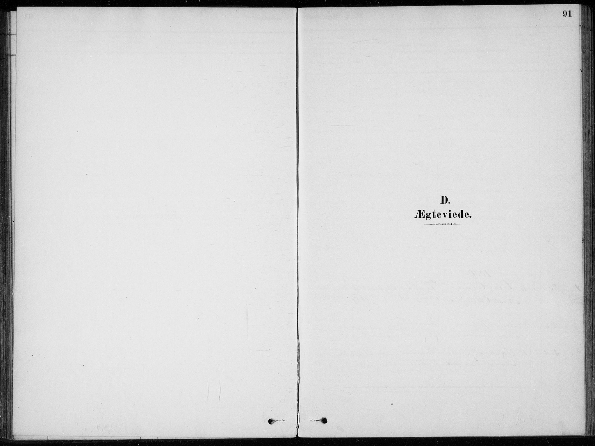 Sigdal kirkebøker, AV/SAKO-A-245/F/Fc/L0001: Parish register (official) no. III 1, 1879-1893, p. 91