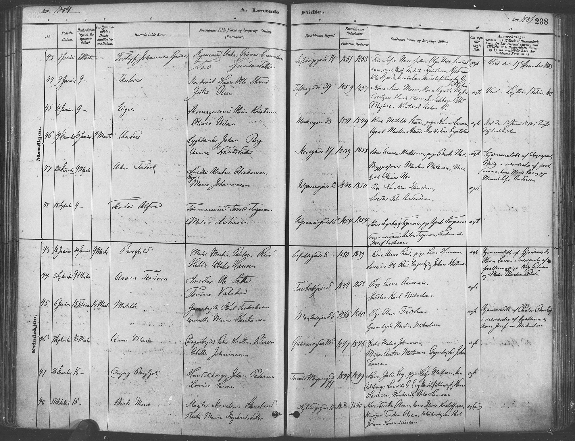 Paulus prestekontor Kirkebøker, AV/SAO-A-10871/F/Fa/L0003: Parish register (official) no. 3, 1879-1887, p. 238