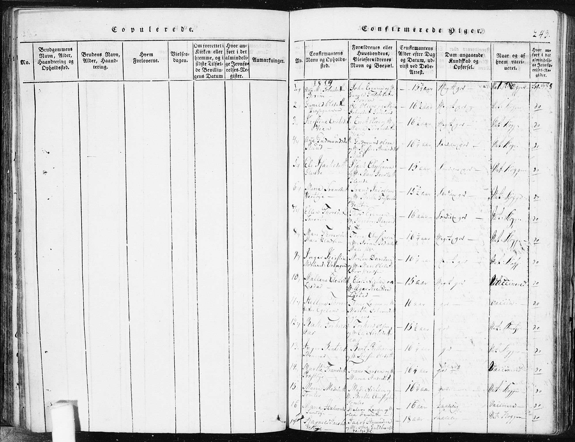 Spydeberg prestekontor Kirkebøker, SAO/A-10924/F/Fa/L0004: Parish register (official) no. I 4, 1814-1841, p. 243