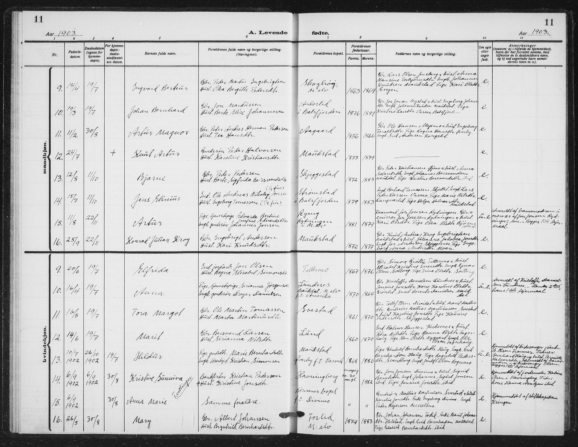 Målselv sokneprestembete, AV/SATØ-S-1311/G/Ga/Gab/L0012klokker: Parish register (copy) no. 12, 1900-1936, p. 11