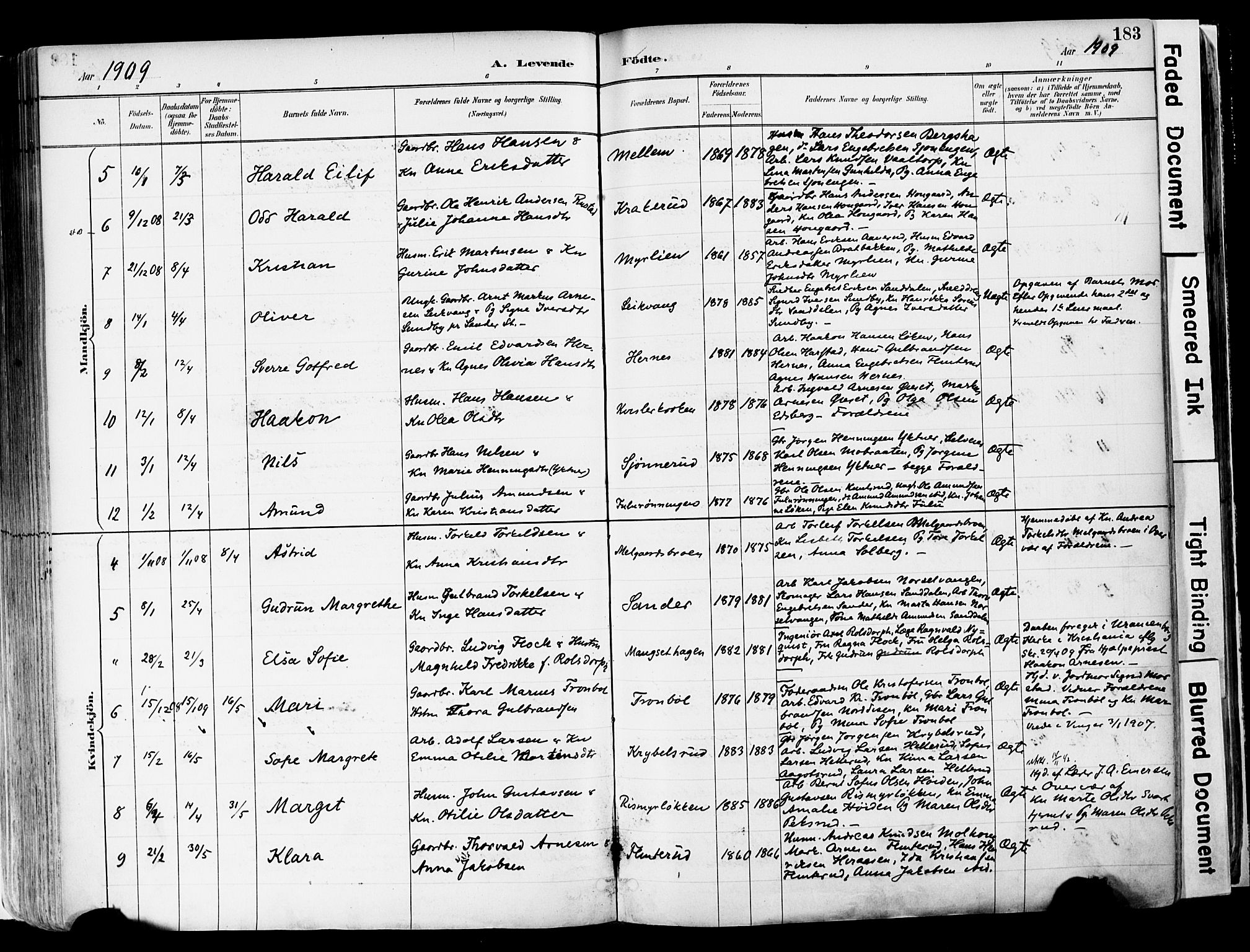 Sør-Odal prestekontor, AV/SAH-PREST-030/H/Ha/Haa/L0006: Parish register (official) no. 6, 1886-1931, p. 183