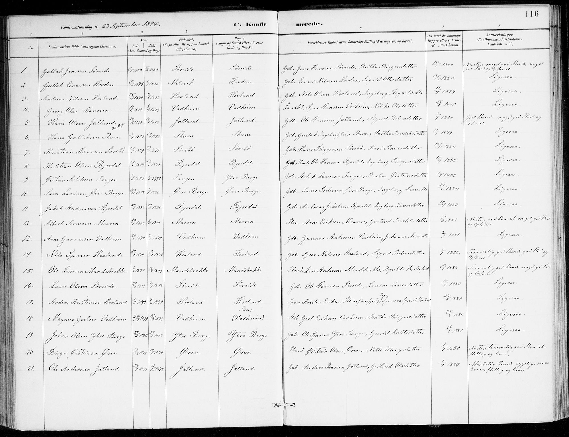 Lavik sokneprestembete, AV/SAB-A-80901: Parish register (official) no. C 1, 1882-1904, p. 116