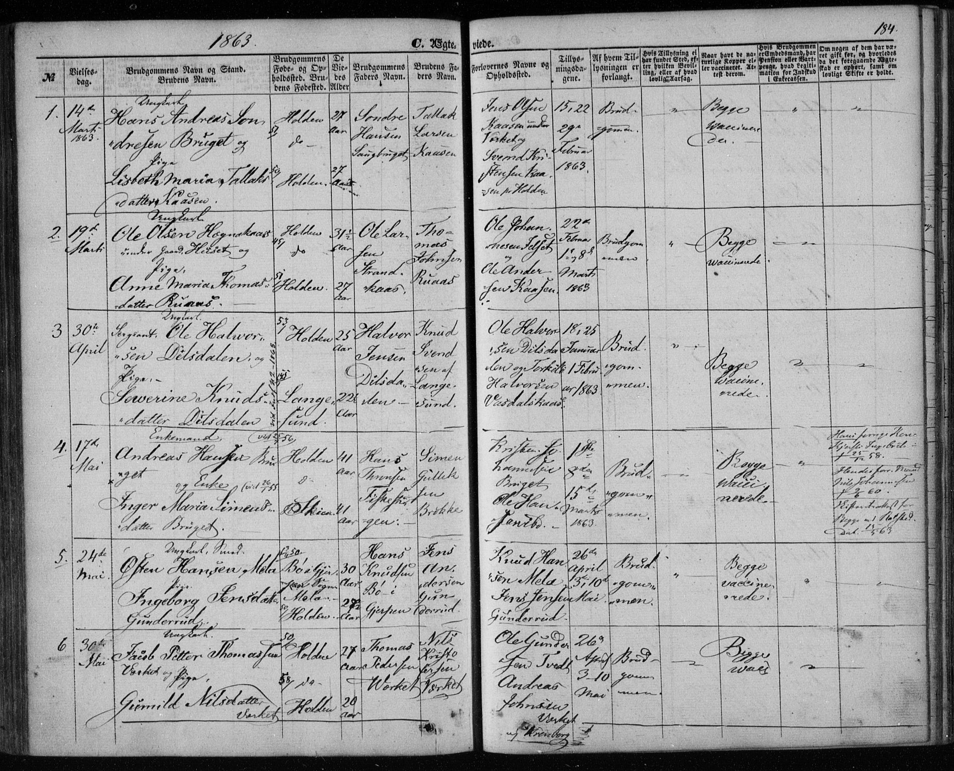 Holla kirkebøker, AV/SAKO-A-272/F/Fa/L0006: Parish register (official) no. 6, 1861-1869, p. 184