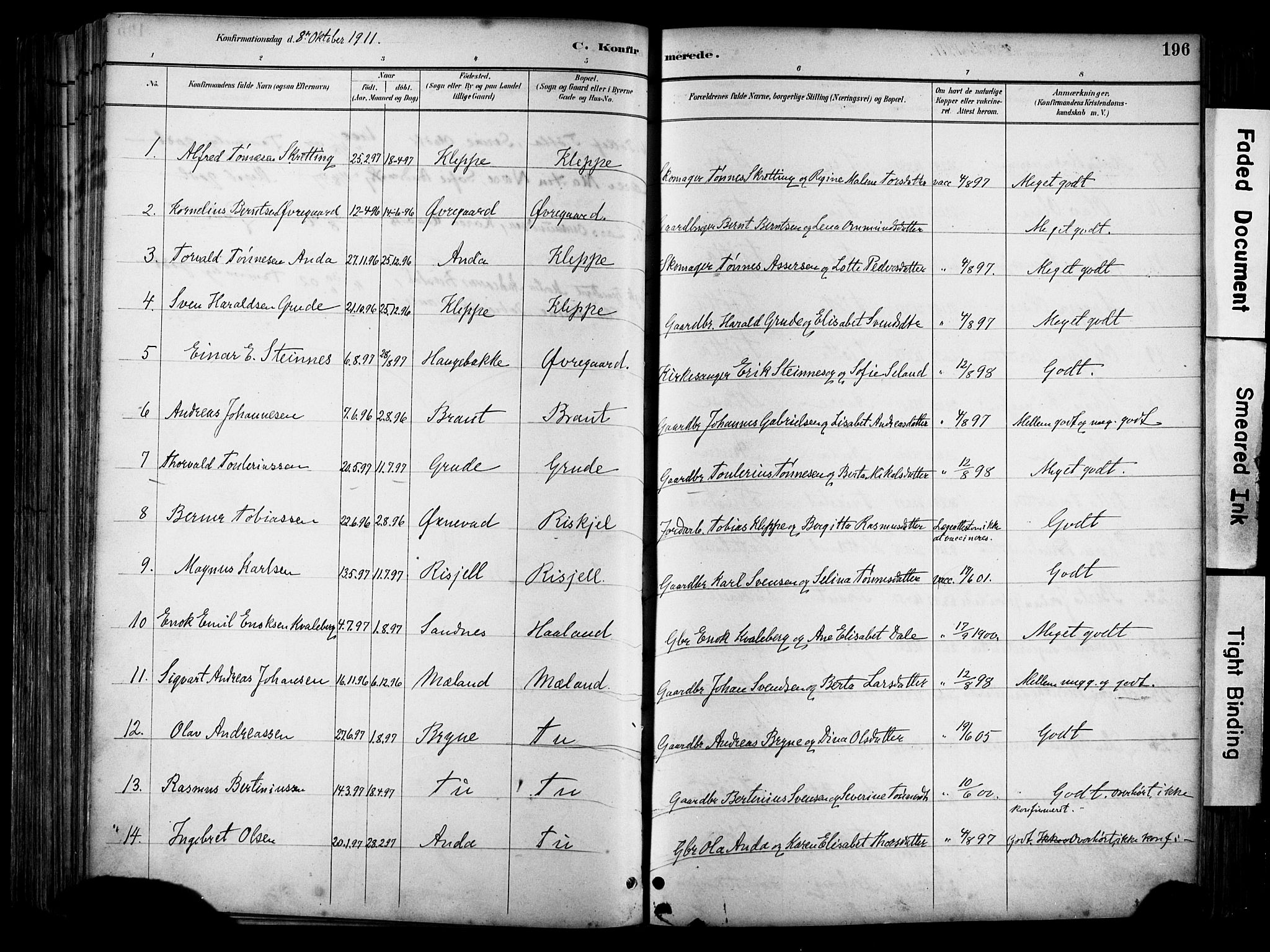 Klepp sokneprestkontor, SAST/A-101803/001/3/30BA/L0009: Parish register (official) no. A 7, 1886-1915, p. 196