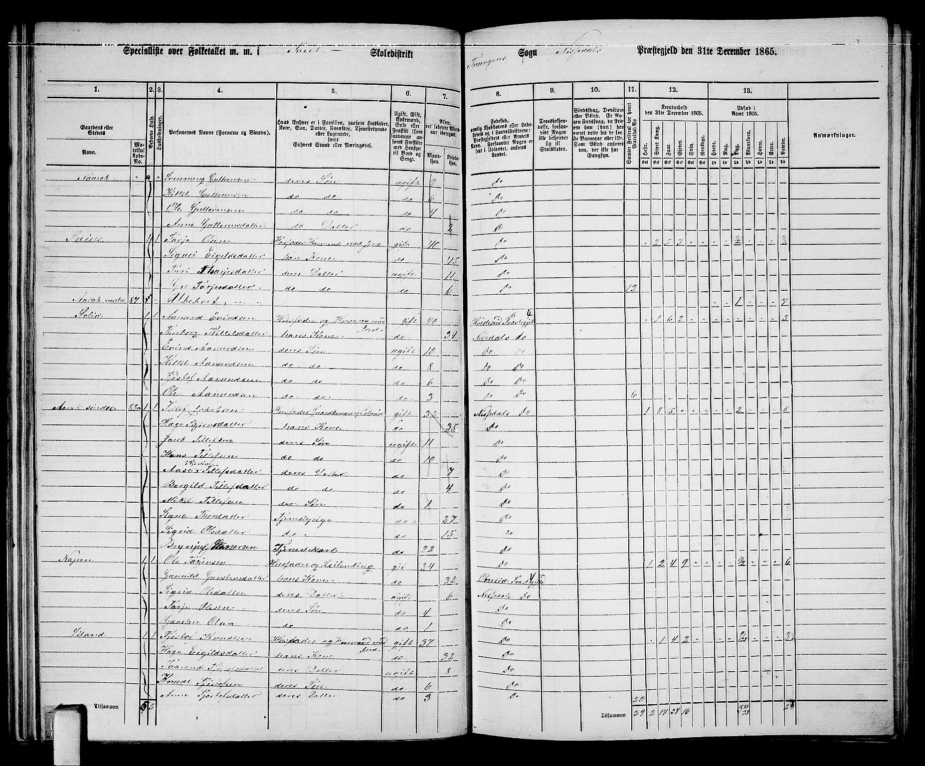 RA, 1865 census for Nissedal, 1865, p. 61