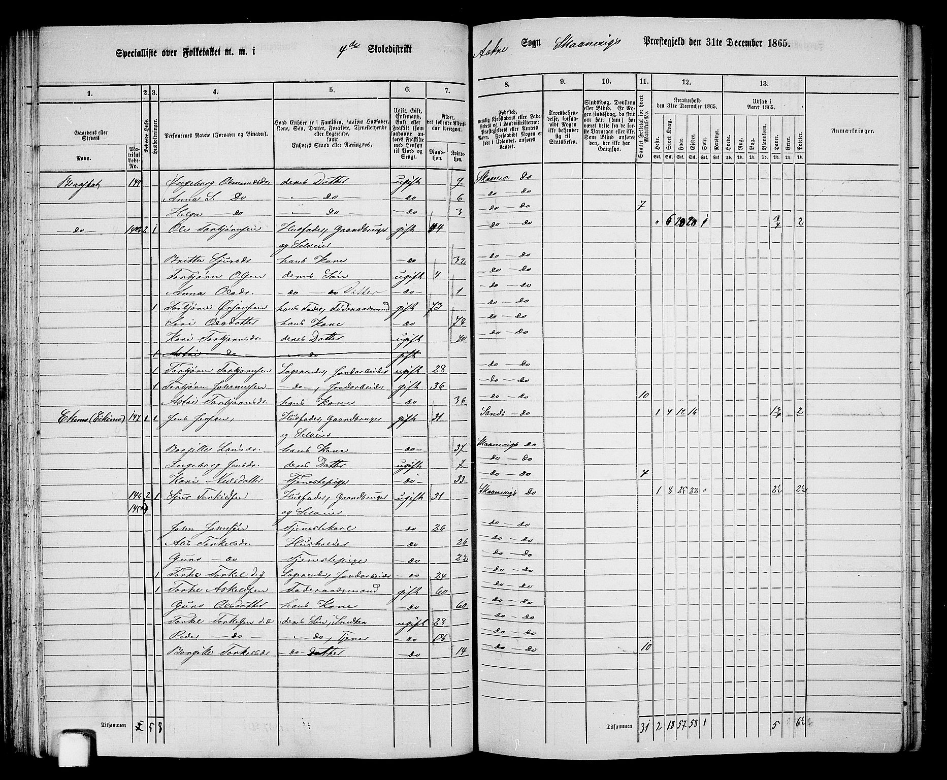 RA, 1865 census for Skånevik, 1865, p. 70