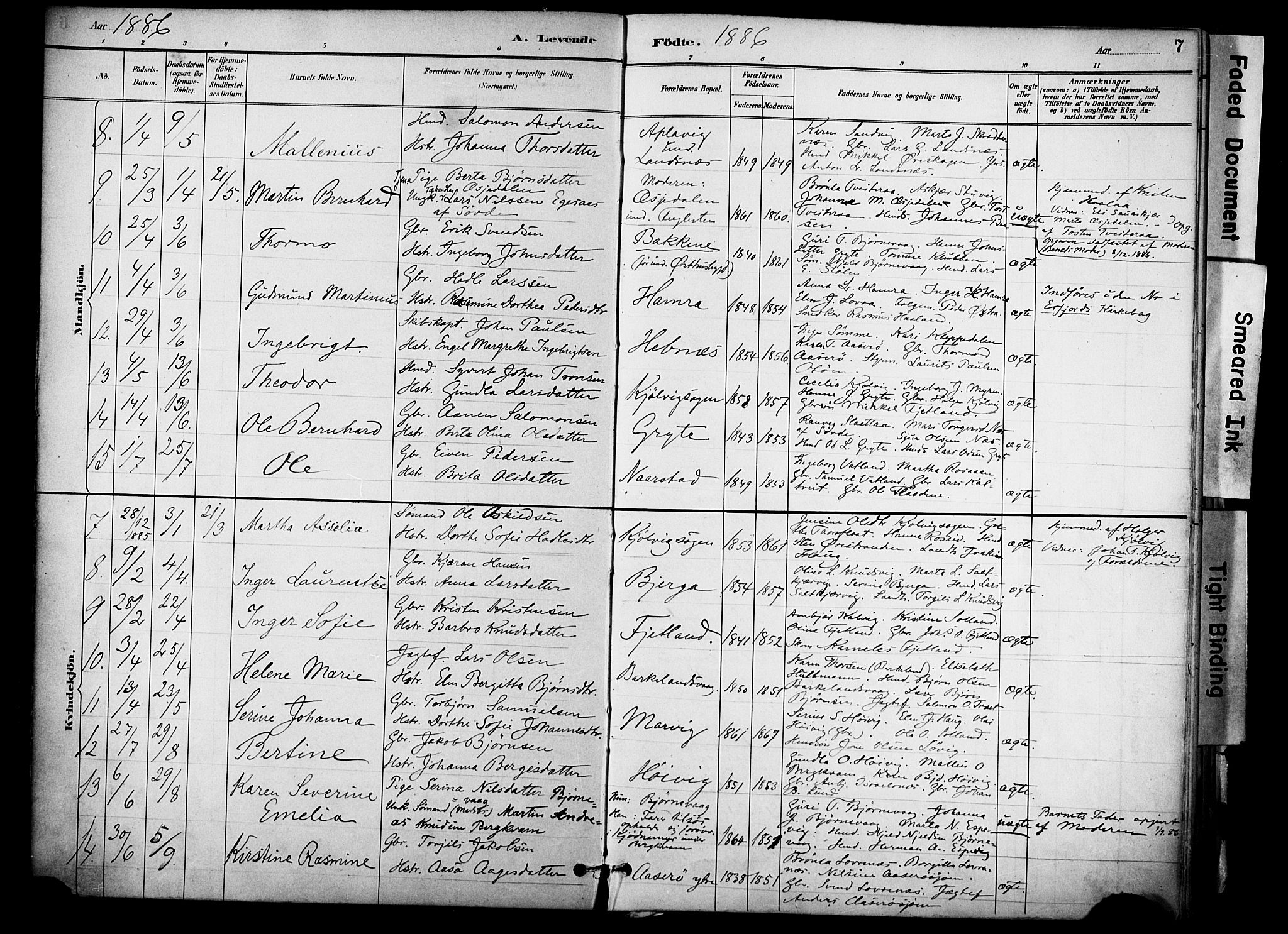 Jelsa sokneprestkontor, AV/SAST-A-101842/01/IV: Parish register (official) no. A 10, 1884-1906, p. 7