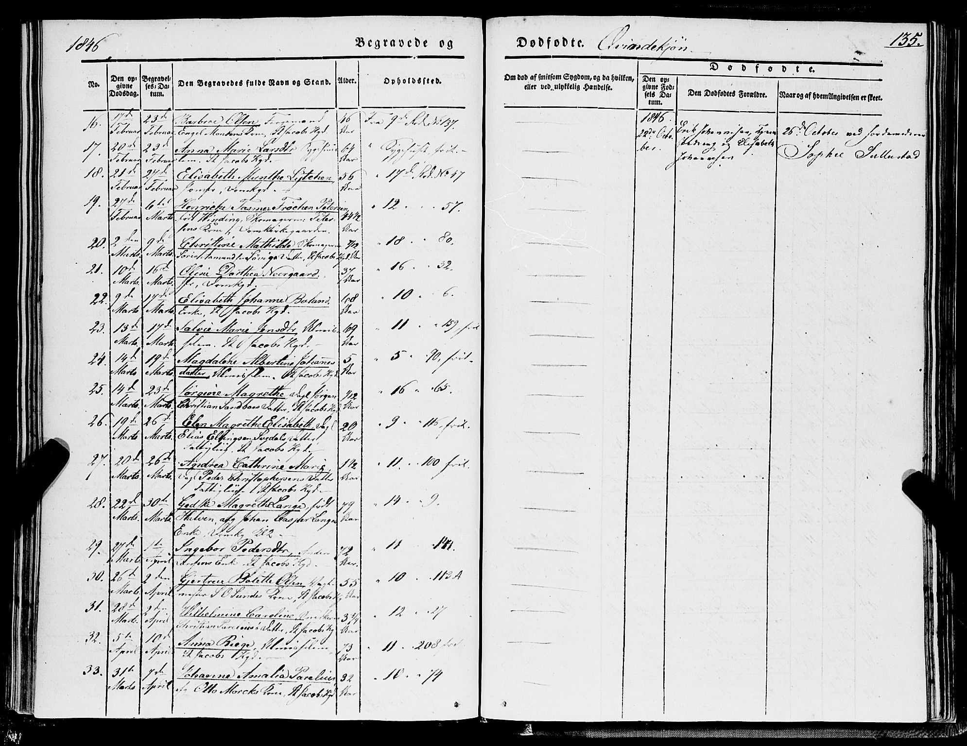 Domkirken sokneprestembete, AV/SAB-A-74801/H/Haa/L0040: Parish register (official) no. E 1, 1841-1853, p. 135