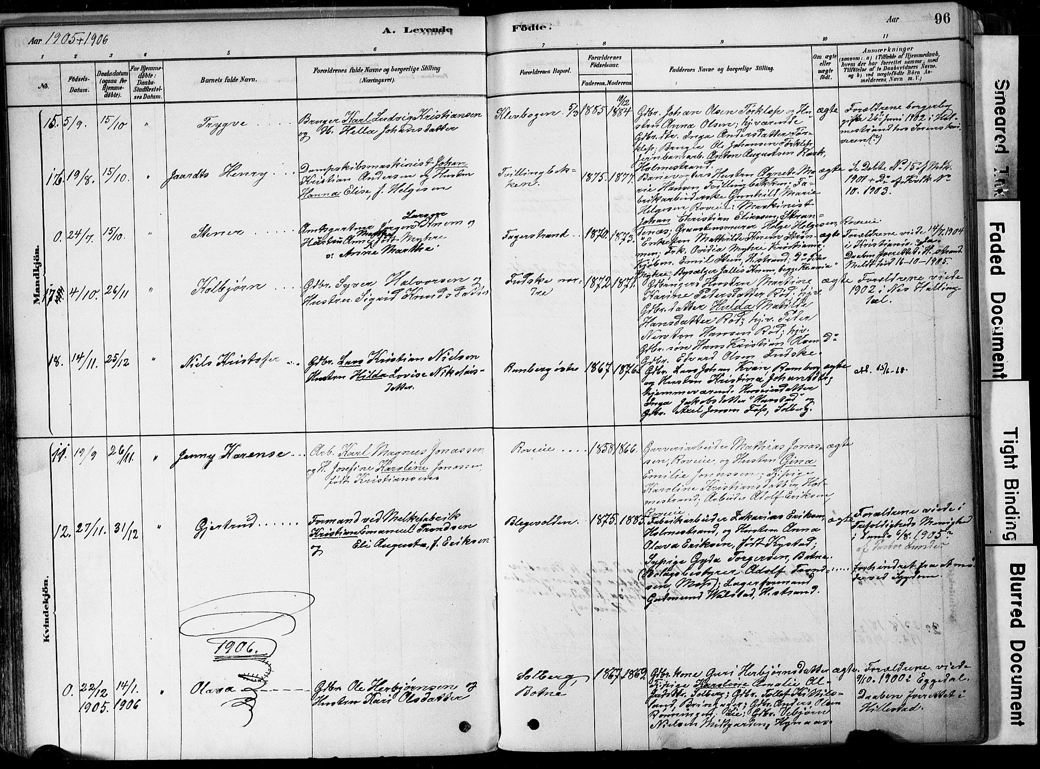 Botne kirkebøker, SAKO/A-340/F/Fa/L0007: Parish register (official) no. I 7, 1878-1910, p. 96
