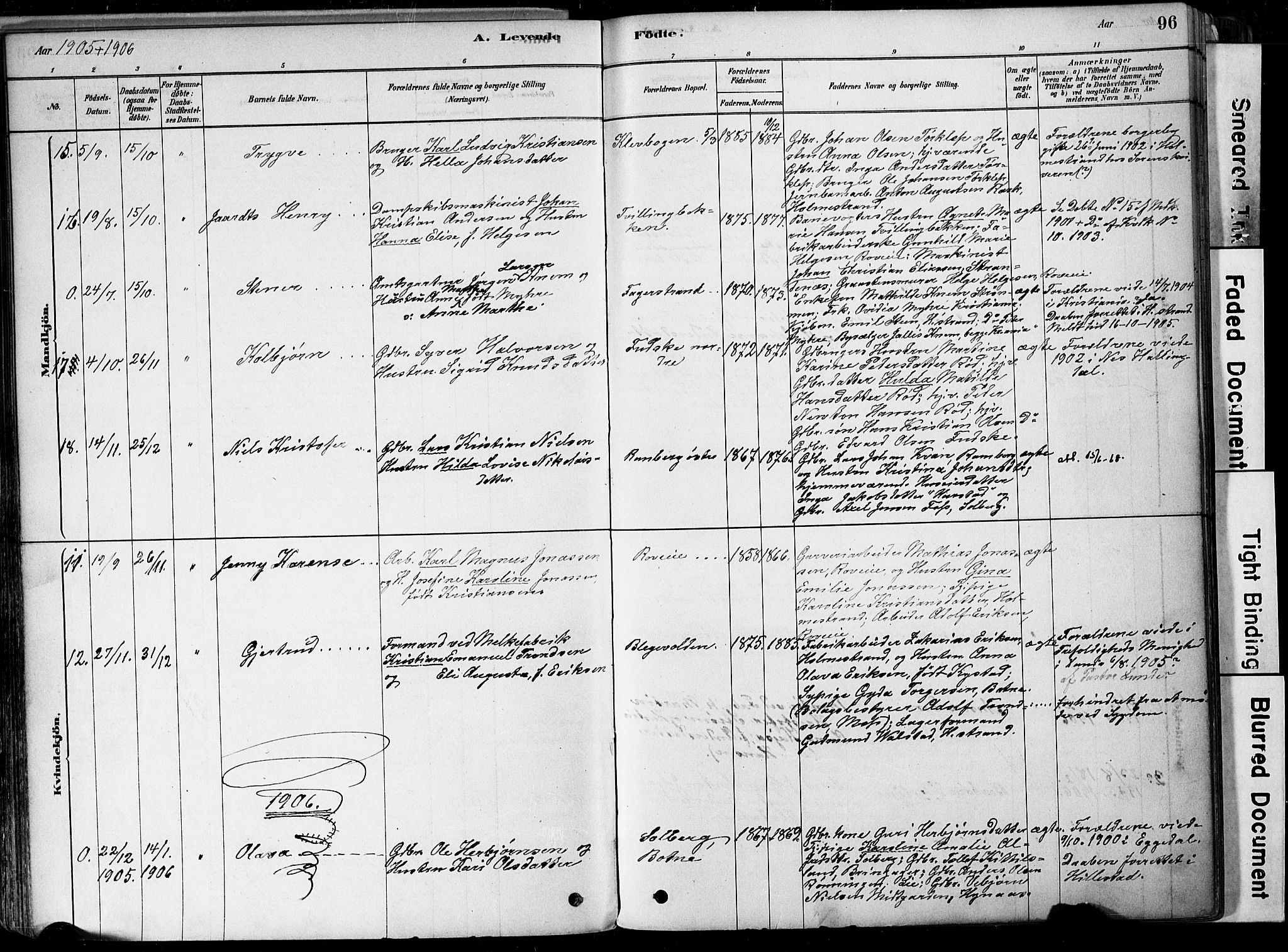 Botne kirkebøker, AV/SAKO-A-340/F/Fa/L0007: Parish register (official) no. I 7, 1878-1910, p. 96