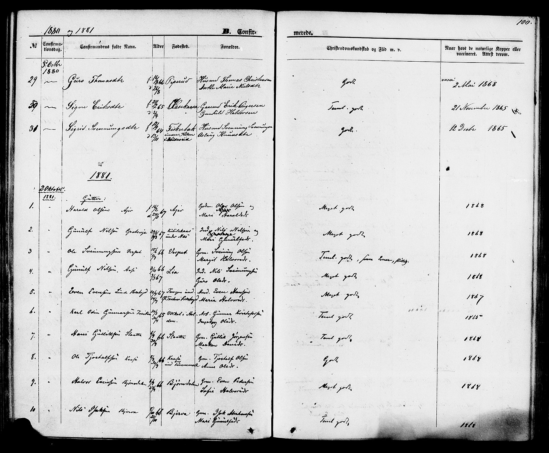 Lunde kirkebøker, SAKO/A-282/F/Fa/L0001: Parish register (official) no. I 1, 1866-1883, p. 100