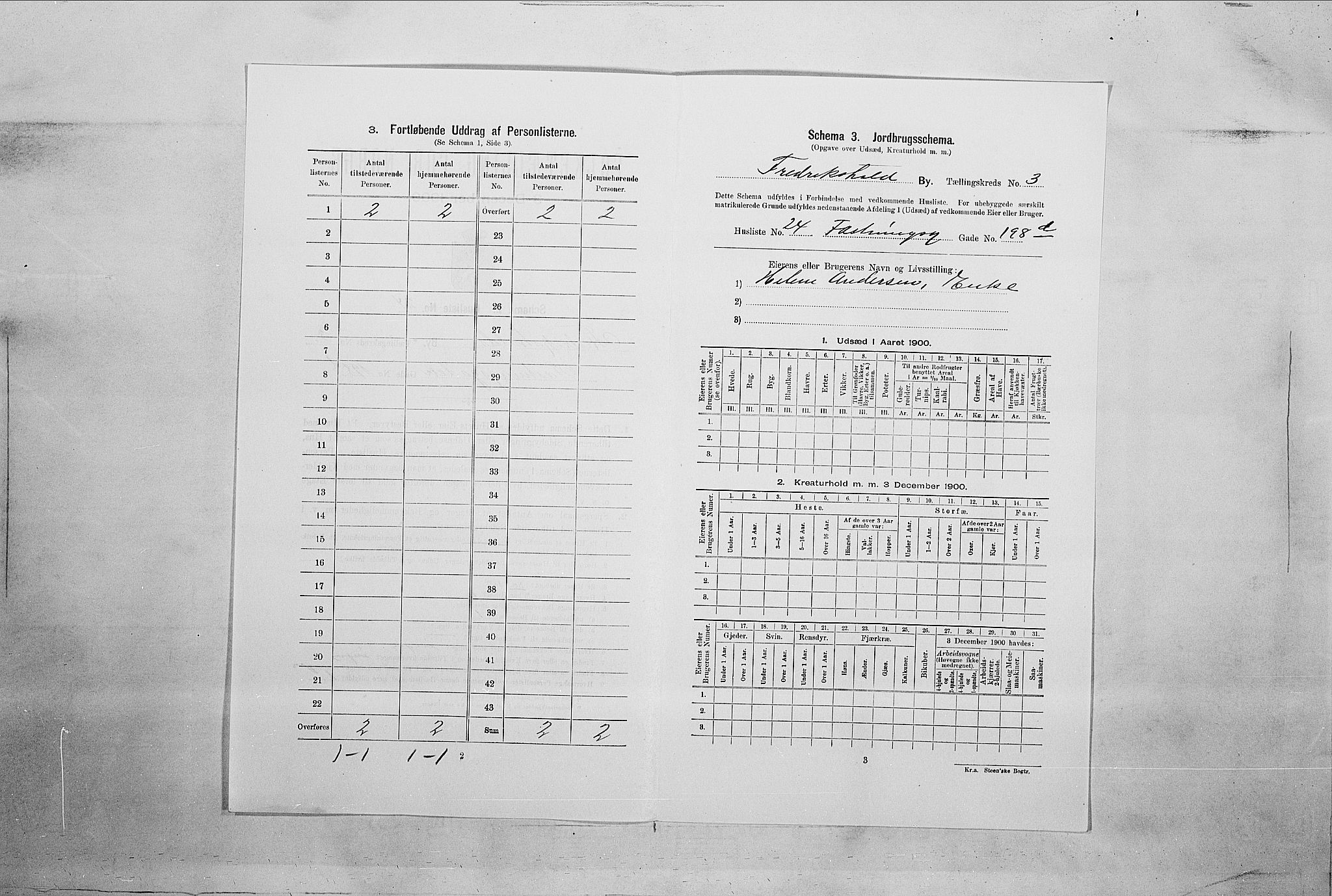 SAO, 1900 census for Fredrikshald, 1900