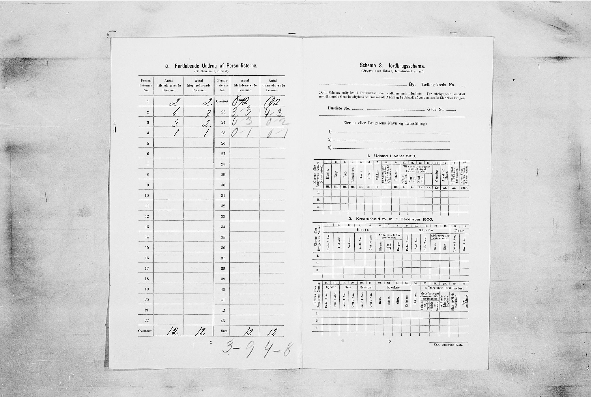 RA, 1900 census for Sandefjord, 1900, p. 1067