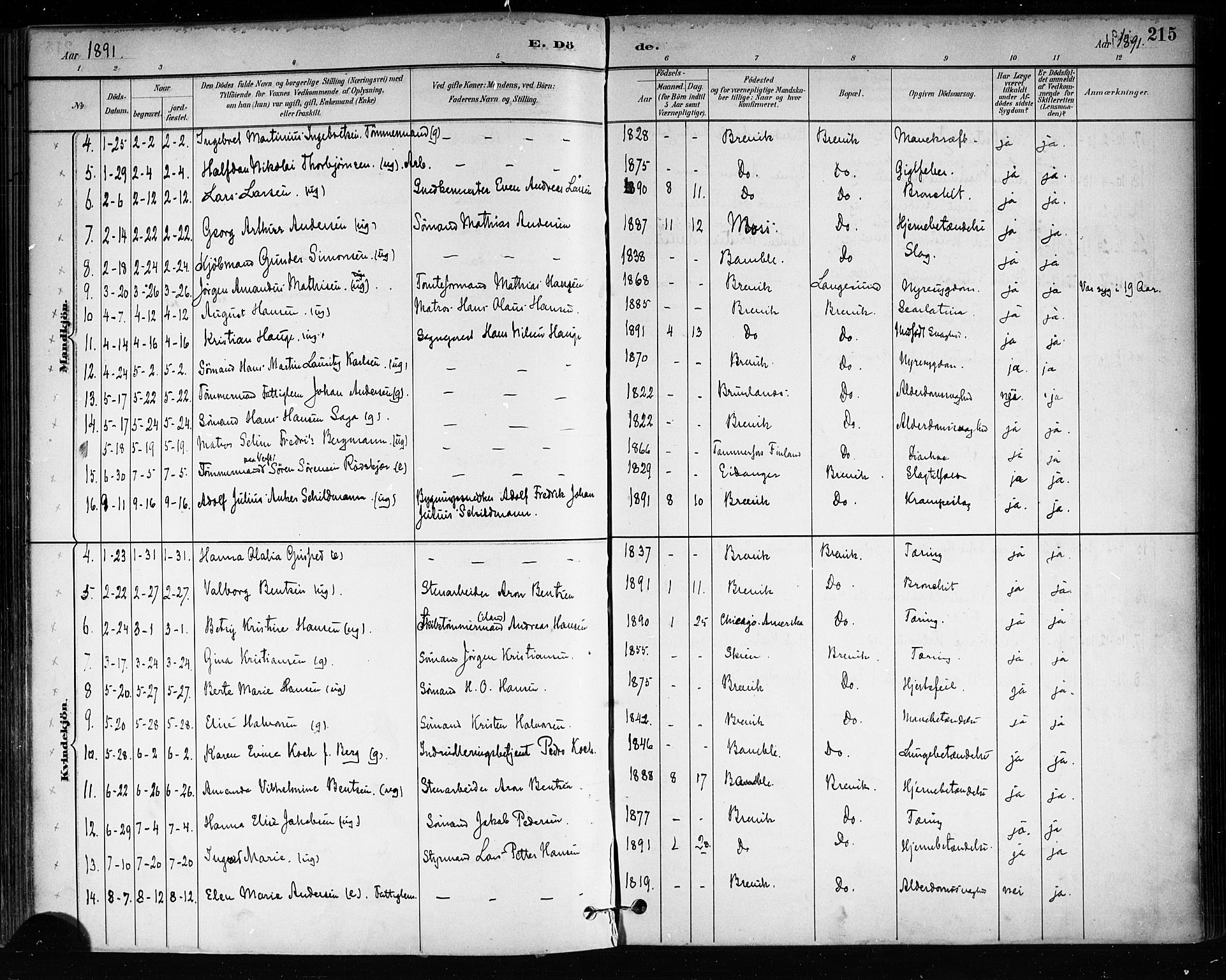 Brevik kirkebøker, SAKO/A-255/F/Fa/L0007: Parish register (official) no. 7, 1882-1900, p. 215