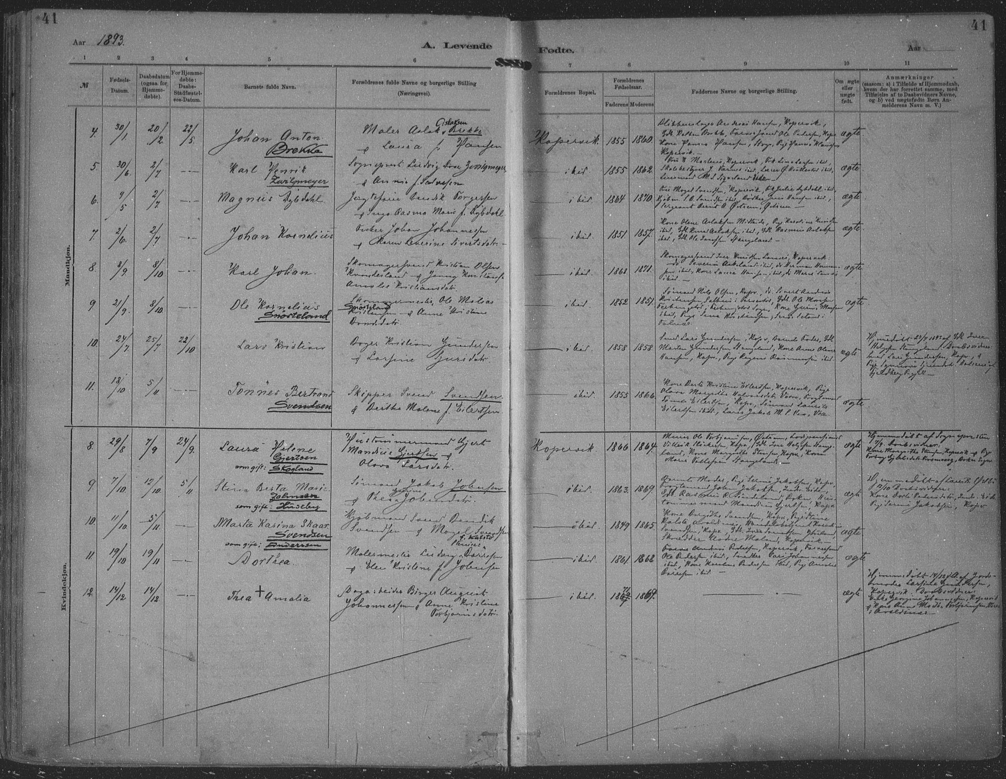 Kopervik sokneprestkontor, AV/SAST-A-101850/H/Ha/Haa/L0001: Parish register (official) no. A 1, 1880-1919, p. 41