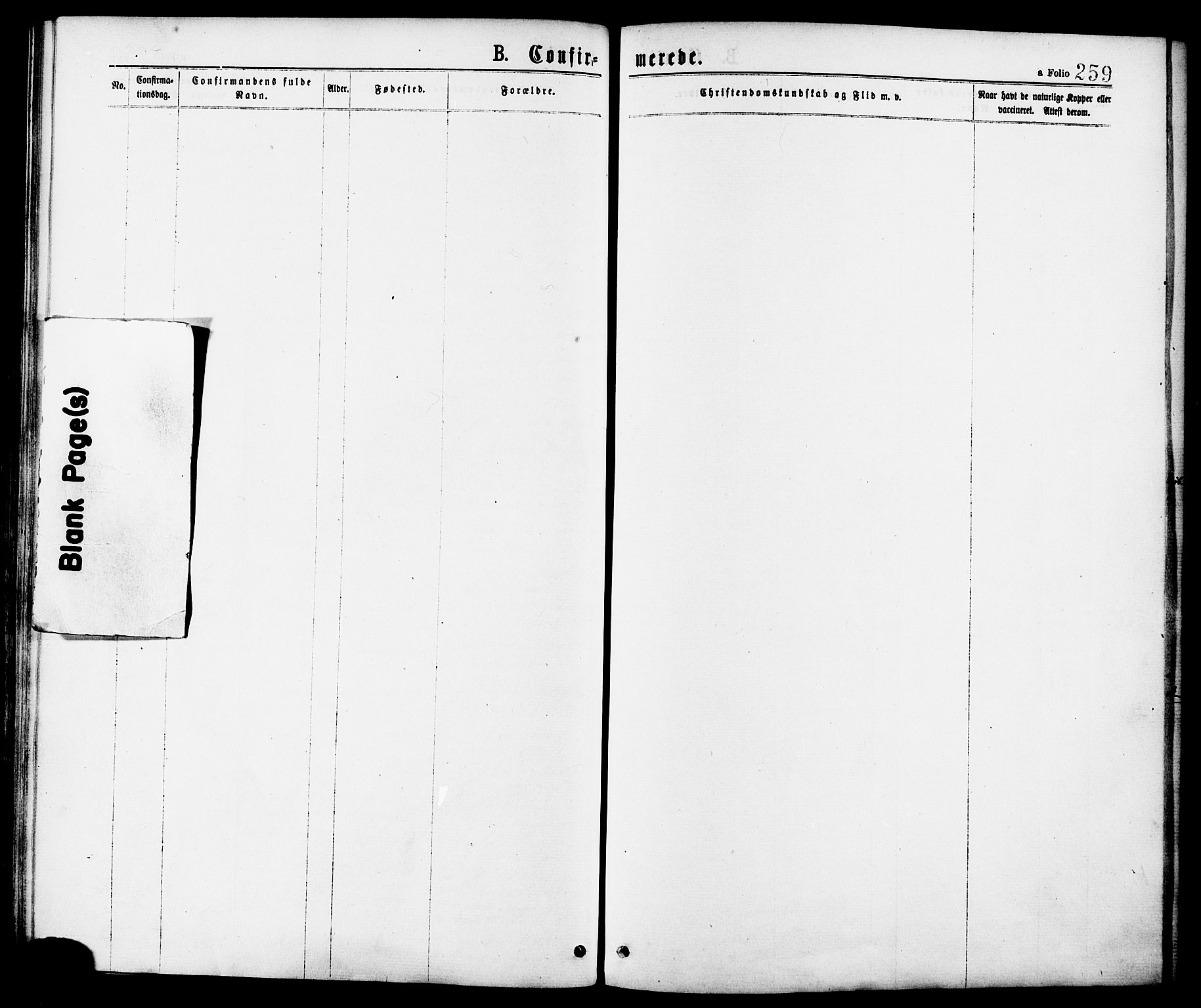 Ministerialprotokoller, klokkerbøker og fødselsregistre - Nordland, AV/SAT-A-1459/863/L0897: Parish register (official) no. 863A09, 1872-1886, p. 259