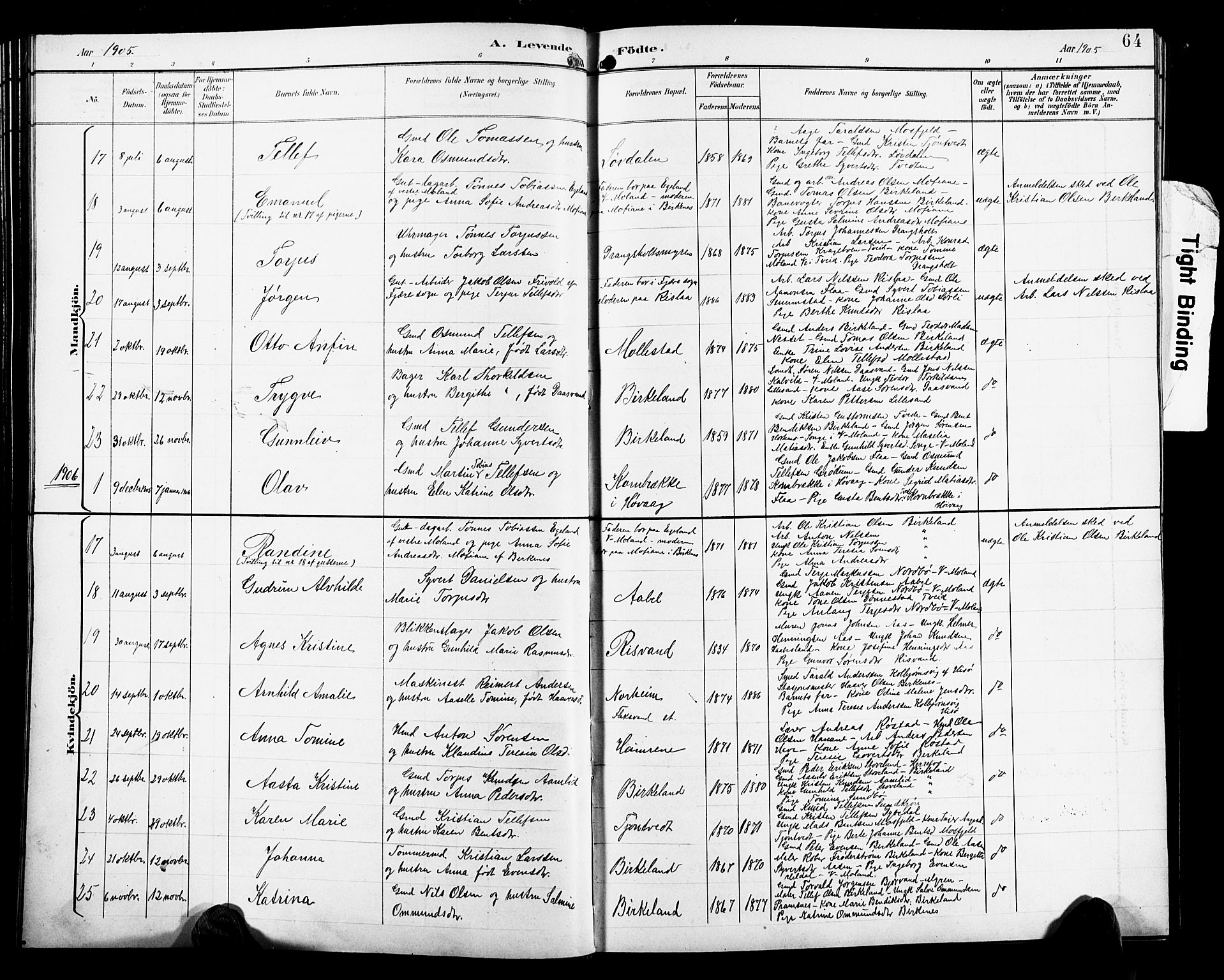 Birkenes sokneprestkontor, SAK/1111-0004/F/Fb/L0004: Parish register (copy) no. B 4, 1893-1930, p. 64
