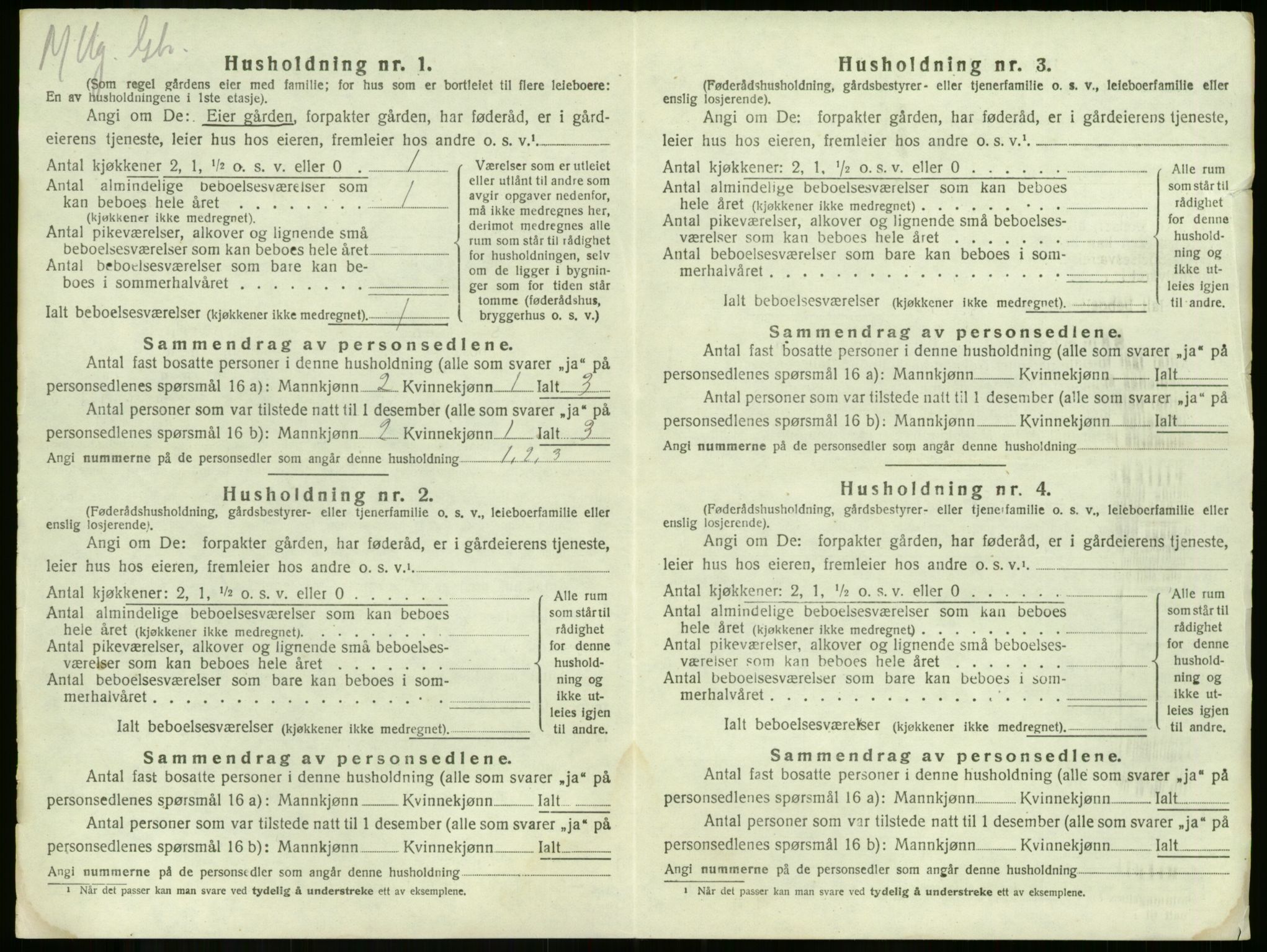 SAKO, 1920 census for Våle, 1920, p. 855