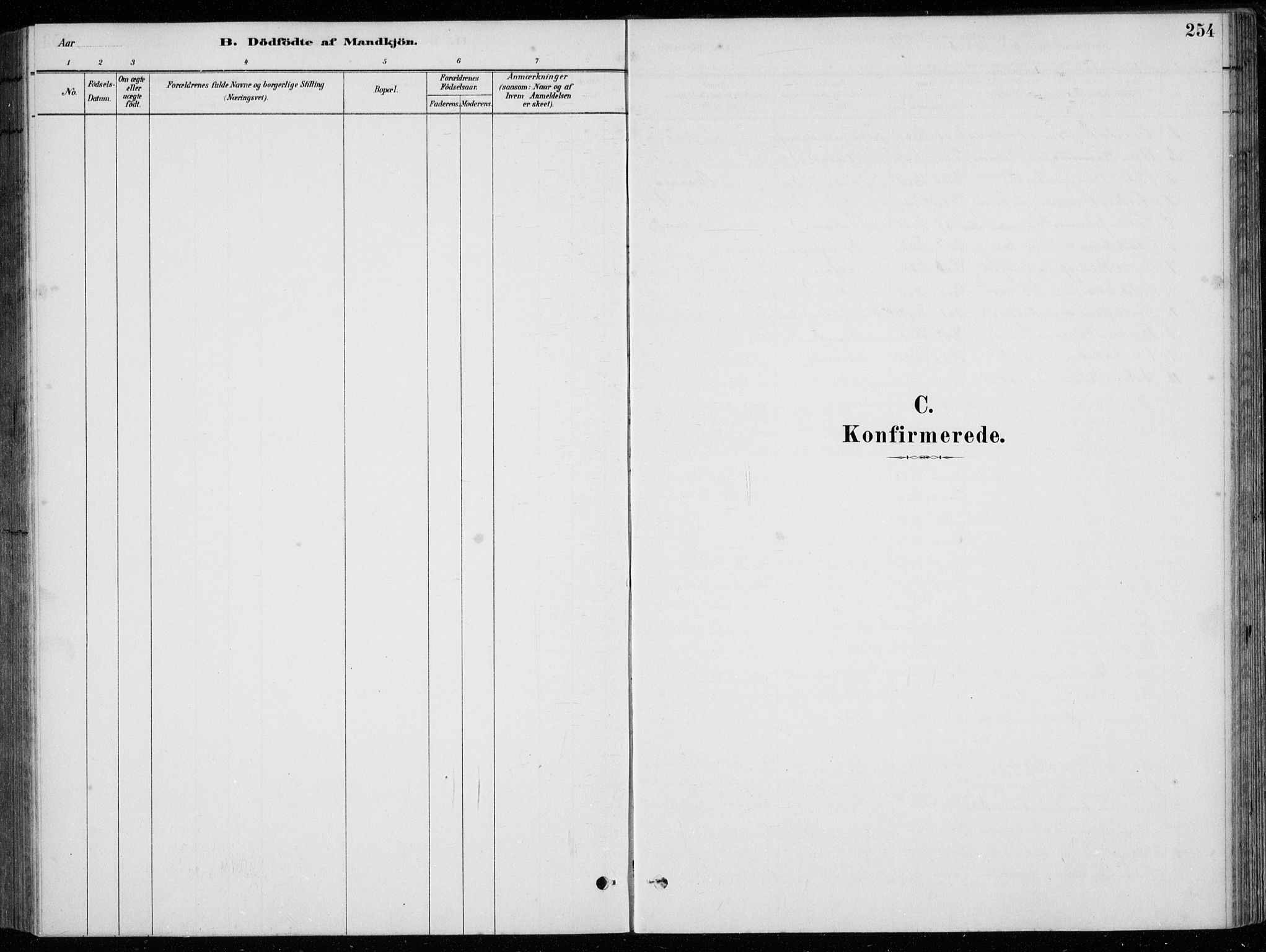 Strand sokneprestkontor, SAST/A-101828/H/Ha/Hab/L0004: Parish register (copy) no. B 4, 1878-1903, p. 254