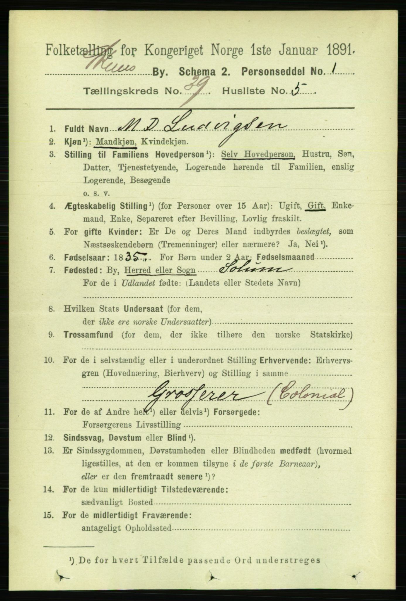 RA, 1891 census for 0806 Skien, 1891, p. 8272