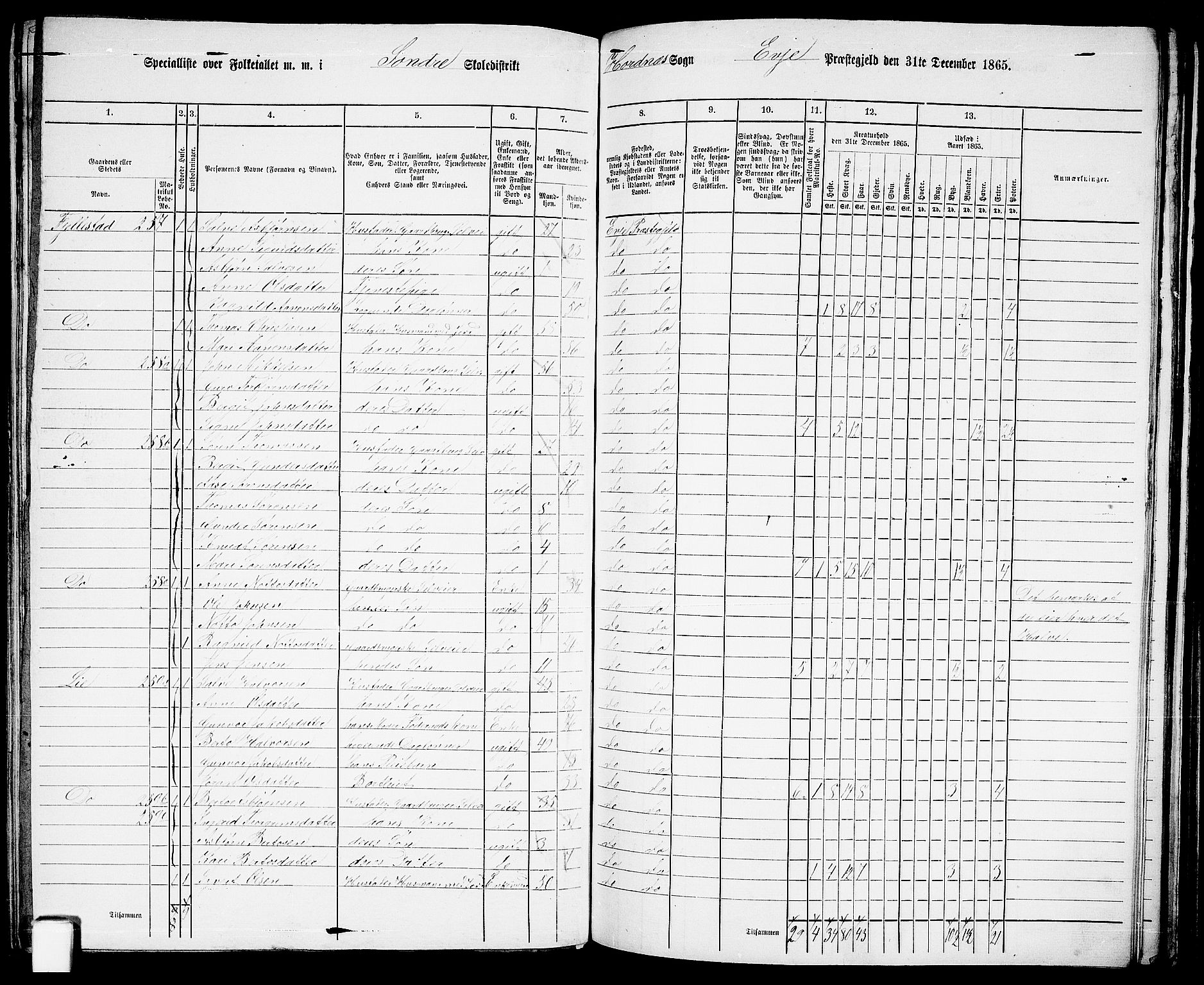 RA, 1865 census for Evje, 1865, p. 119