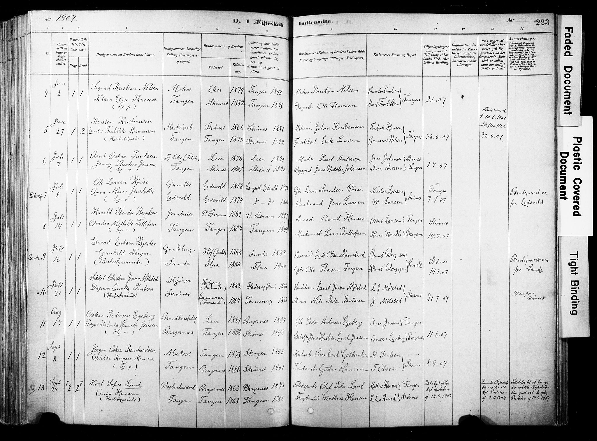 Strømsø kirkebøker, SAKO/A-246/F/Fb/L0006: Parish register (official) no. II 6, 1879-1910, p. 223