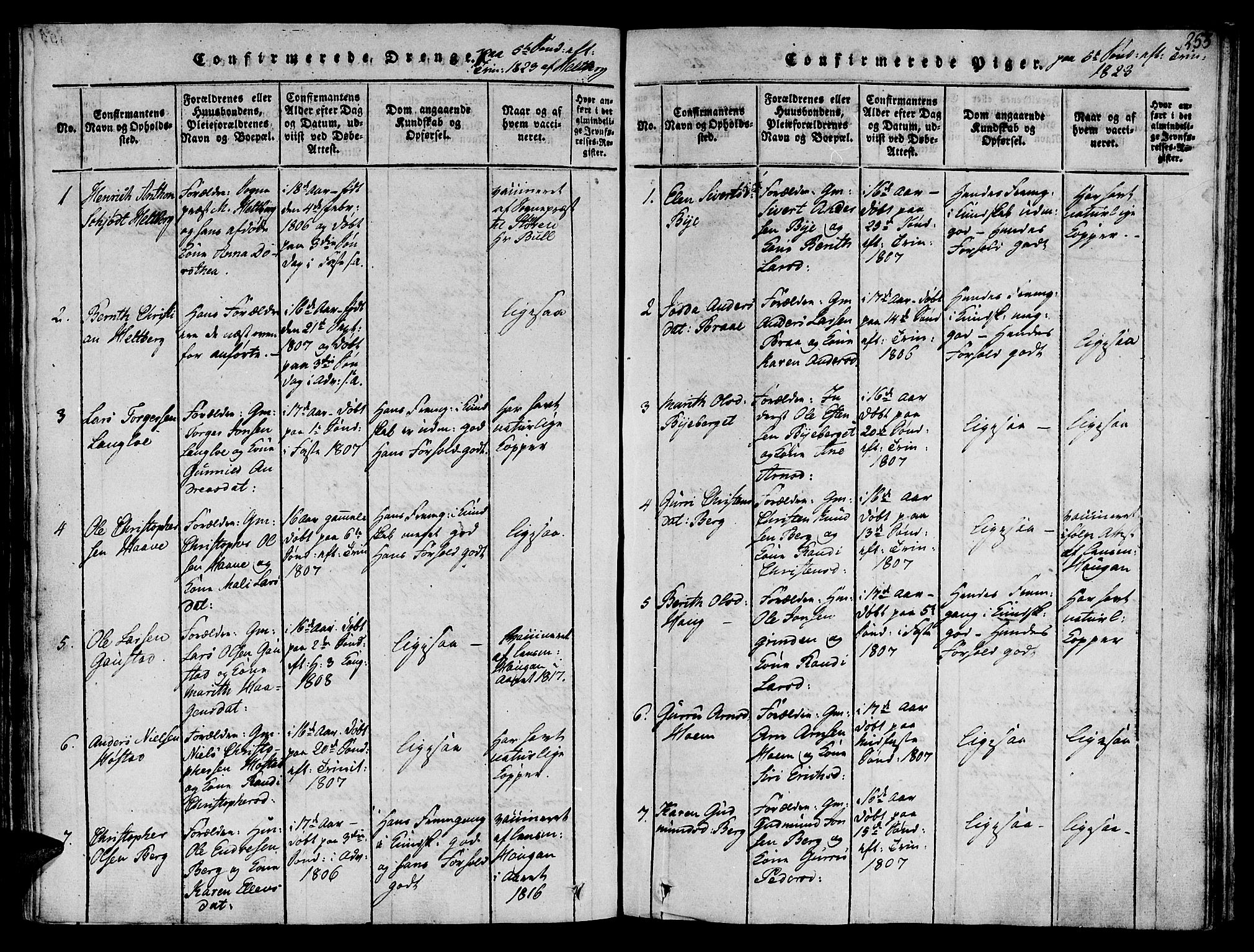 Ministerialprotokoller, klokkerbøker og fødselsregistre - Sør-Trøndelag, AV/SAT-A-1456/612/L0372: Parish register (official) no. 612A06 /1, 1816-1828, p. 253