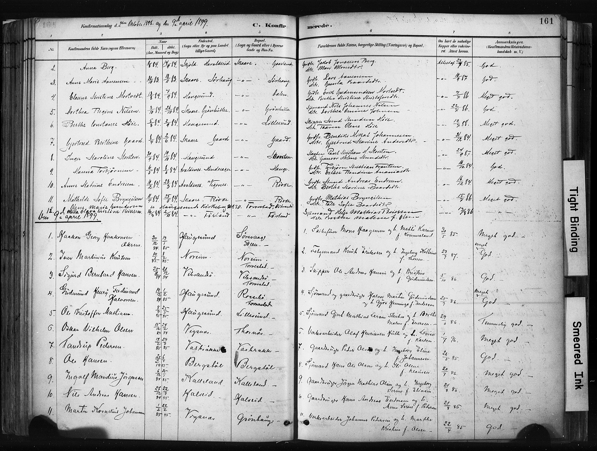 Haugesund sokneprestkontor, AV/SAST-A -101863/H/Ha/Haa/L0004: Parish register (official) no. A 4, 1886-1908, p. 161