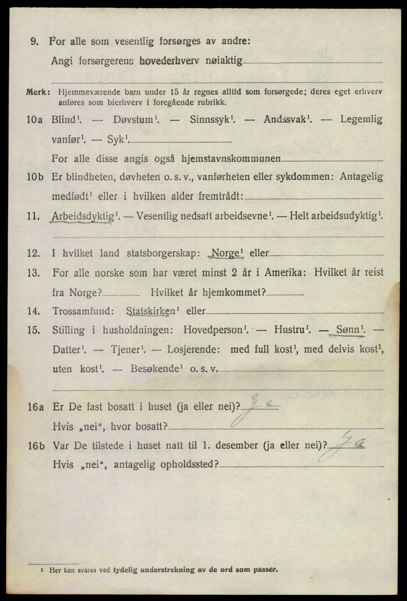 SAKO, 1920 census for Solum, 1920, p. 4049