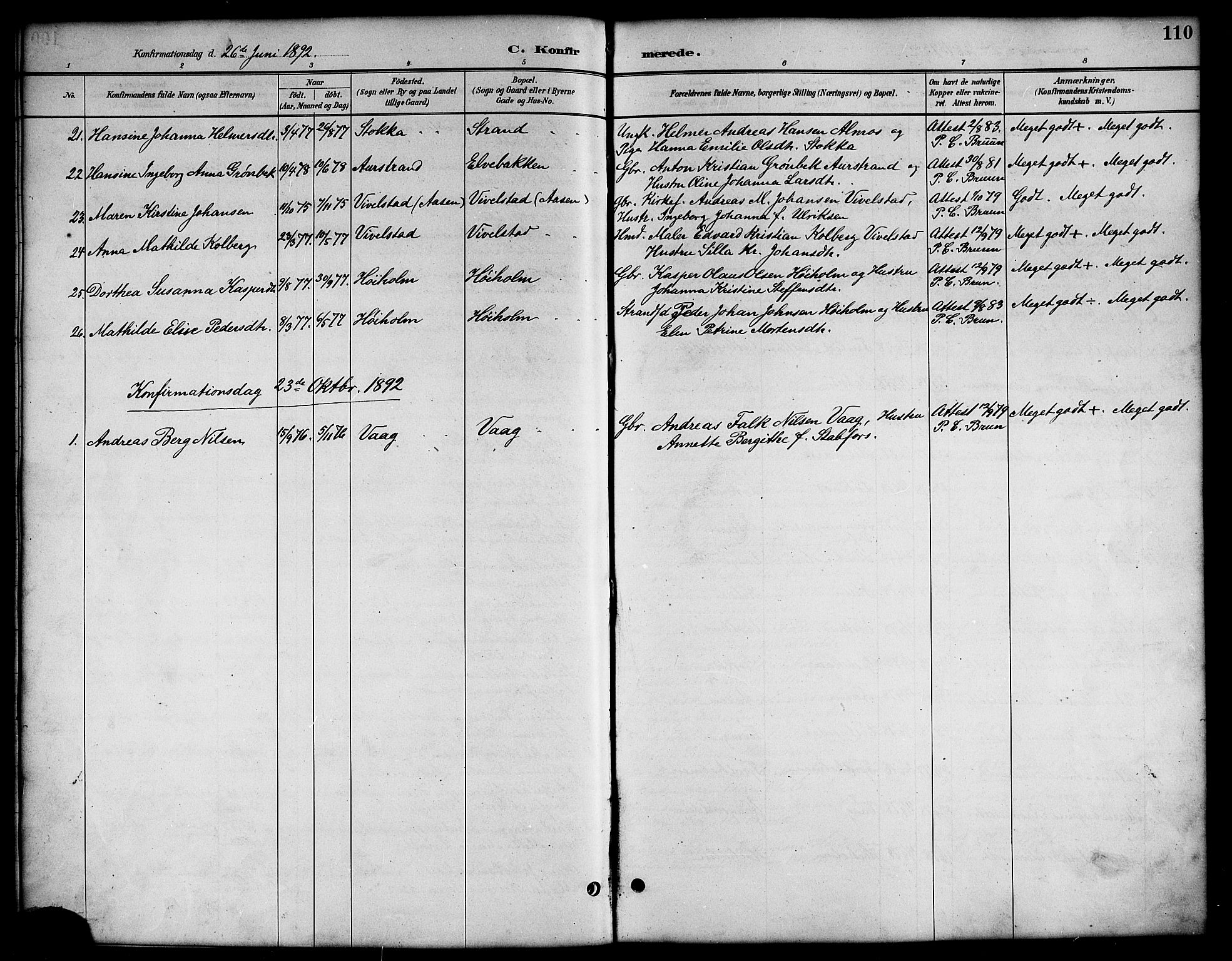 Ministerialprotokoller, klokkerbøker og fødselsregistre - Nordland, SAT/A-1459/819/L0277: Parish register (copy) no. 819C03, 1888-1917, p. 110