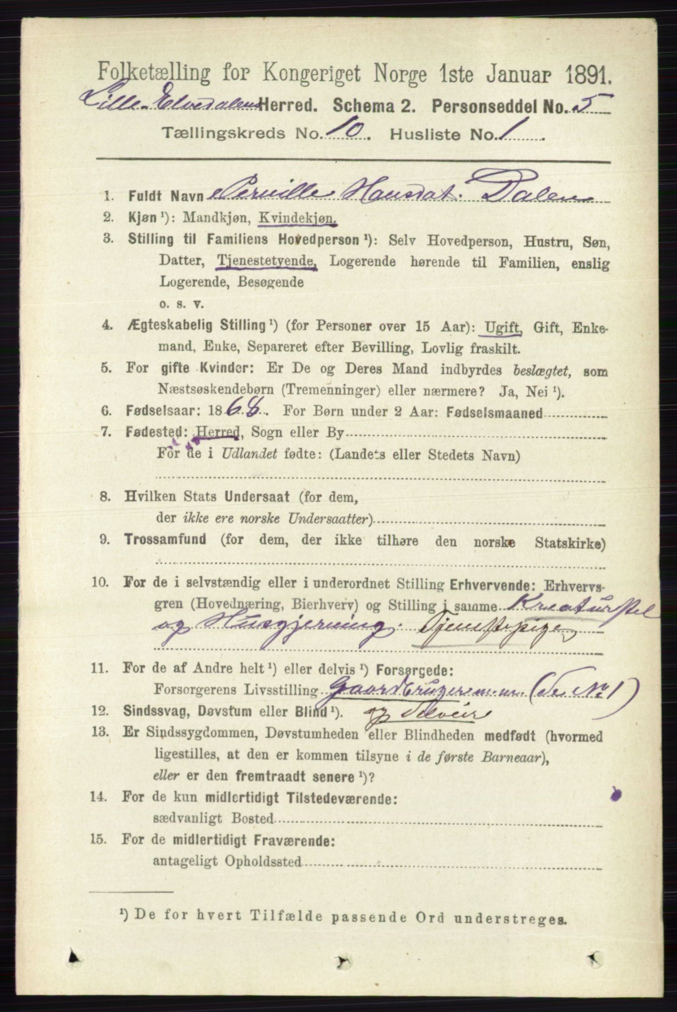 RA, 1891 census for 0438 Lille Elvedalen, 1891, p. 3425