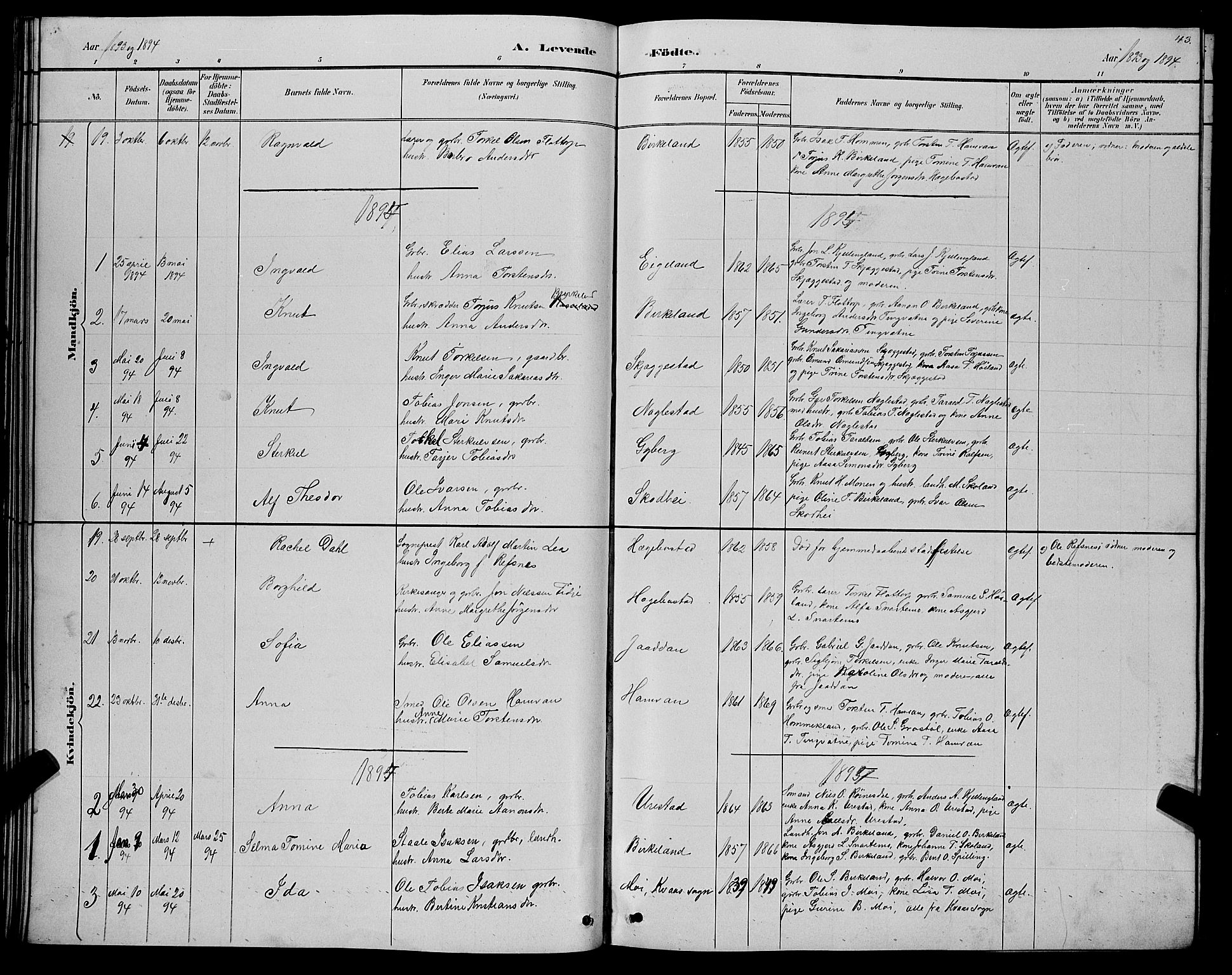 Hægebostad sokneprestkontor, SAK/1111-0024/F/Fb/Fba/L0003: Parish register (copy) no. B 3, 1883-1896, p. 43