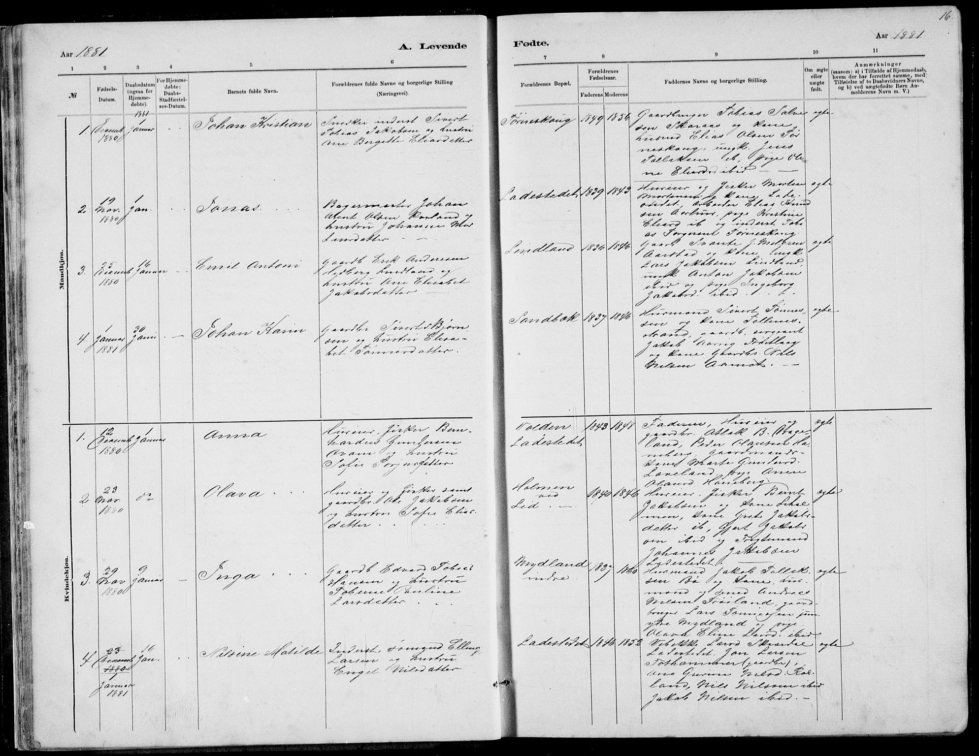 Sokndal sokneprestkontor, AV/SAST-A-101808: Parish register (copy) no. B 4, 1880-1891, p. 16