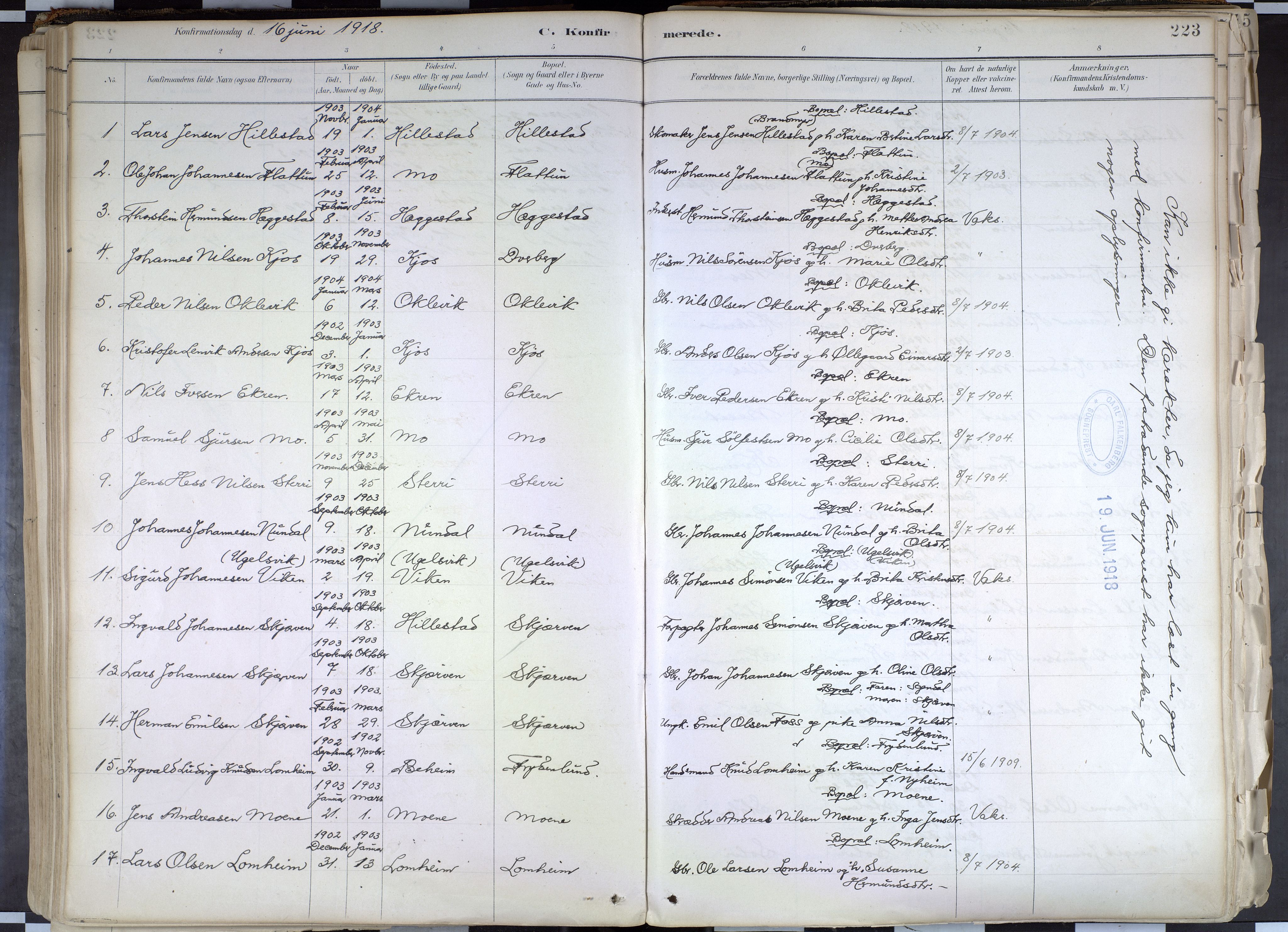 Hafslo sokneprestembete, SAB/A-80301/H/Haa/Haab/L0001: Parish register (official) no. B 1, 1886-1945, p. 223