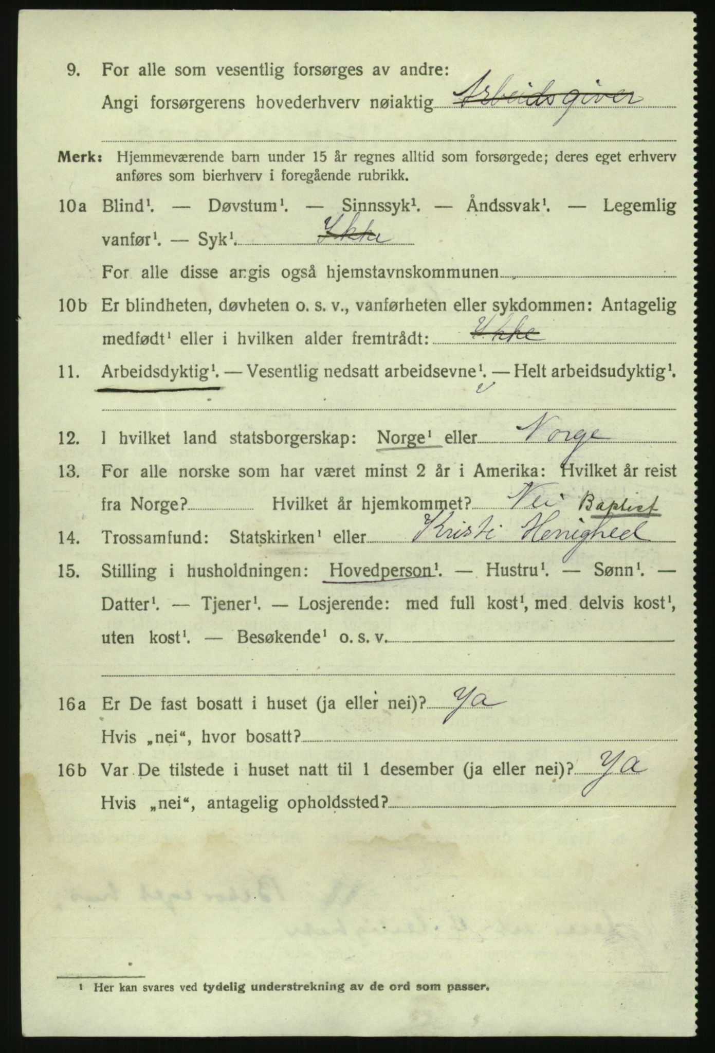 RA, 1920 census: Additional forms, 1920, p. 2