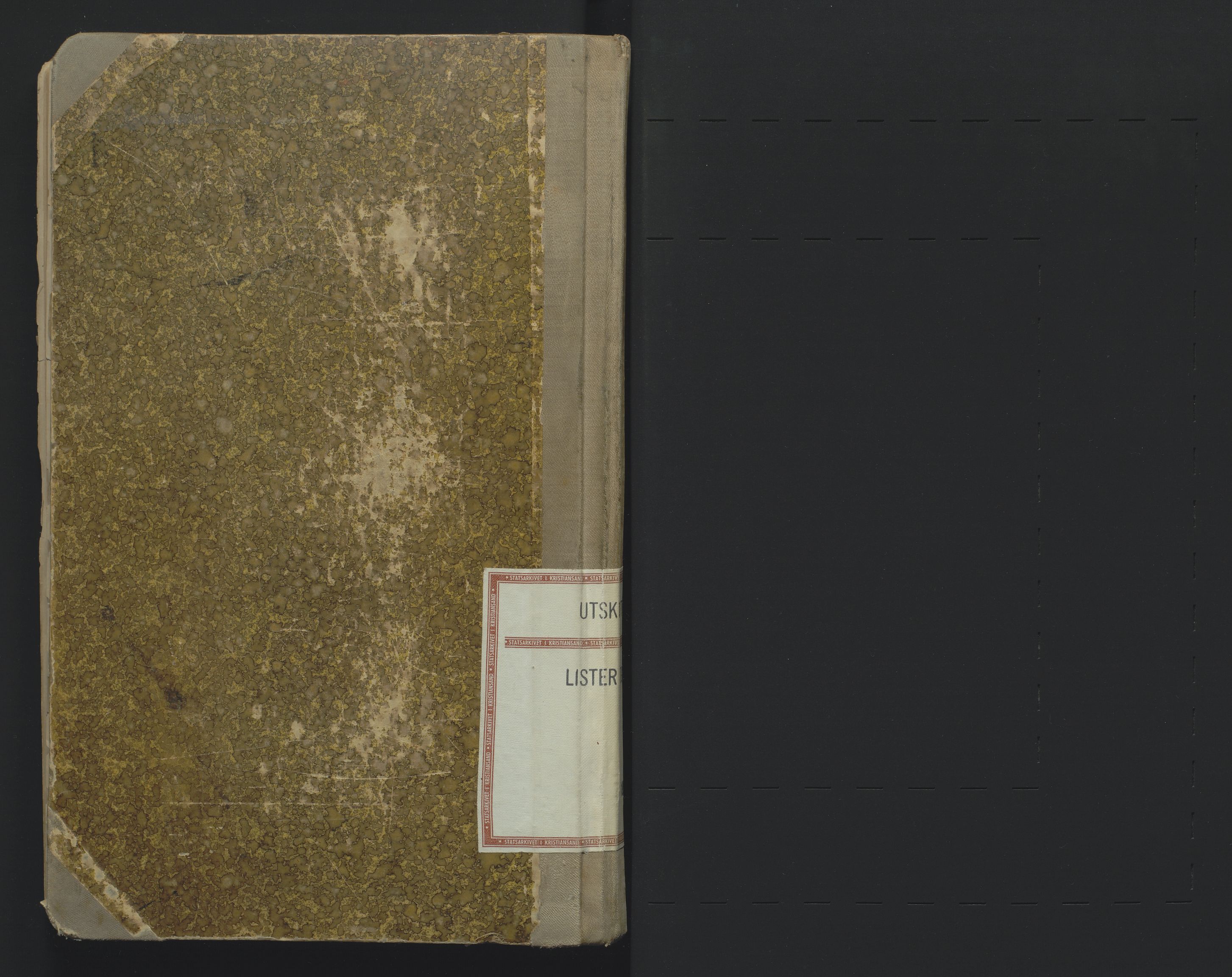 Utskiftningsformannen i Lister og Mandal amt, AV/SAK-1541-0003/F/Fa/Faa/L0020: Utskiftningsprotokoll med register nr 20, 1893-1895