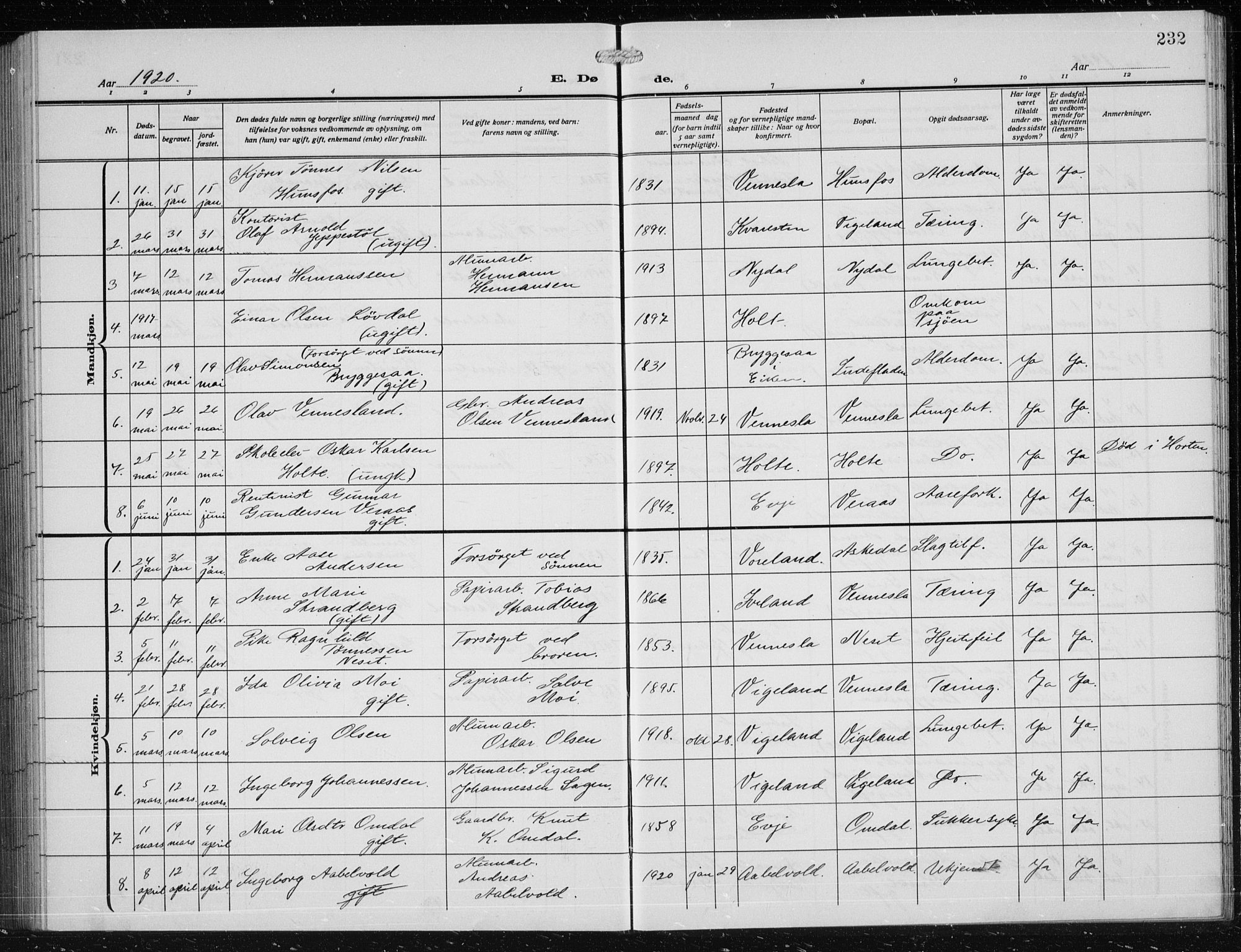 Vennesla sokneprestkontor, AV/SAK-1111-0045/Fb/Fbb/L0006: Parish register (copy) no. B 6, 1914-1921, p. 232