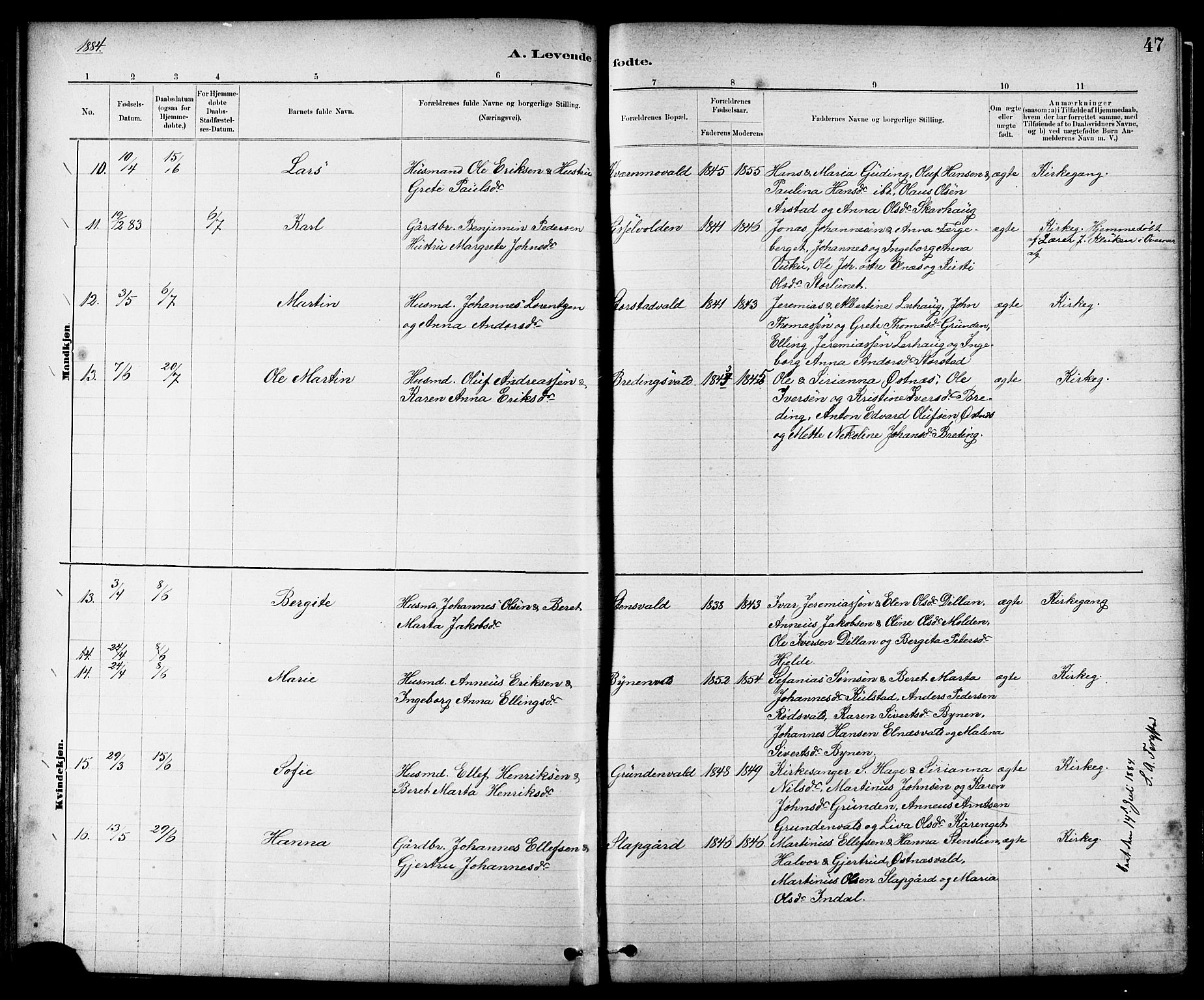 Ministerialprotokoller, klokkerbøker og fødselsregistre - Nord-Trøndelag, AV/SAT-A-1458/724/L0267: Parish register (copy) no. 724C03, 1879-1898, p. 47