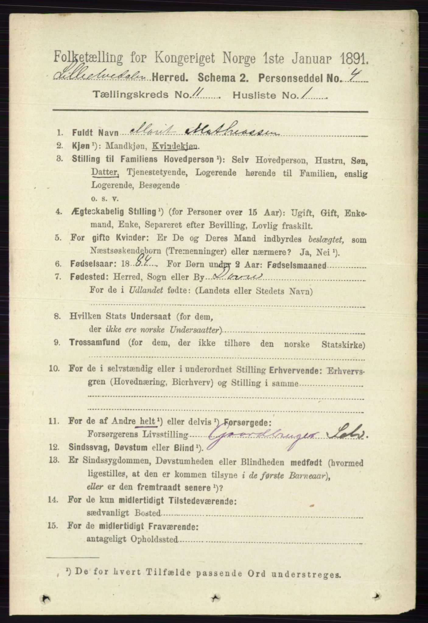 RA, 1891 census for 0438 Lille Elvedalen, 1891, p. 3796