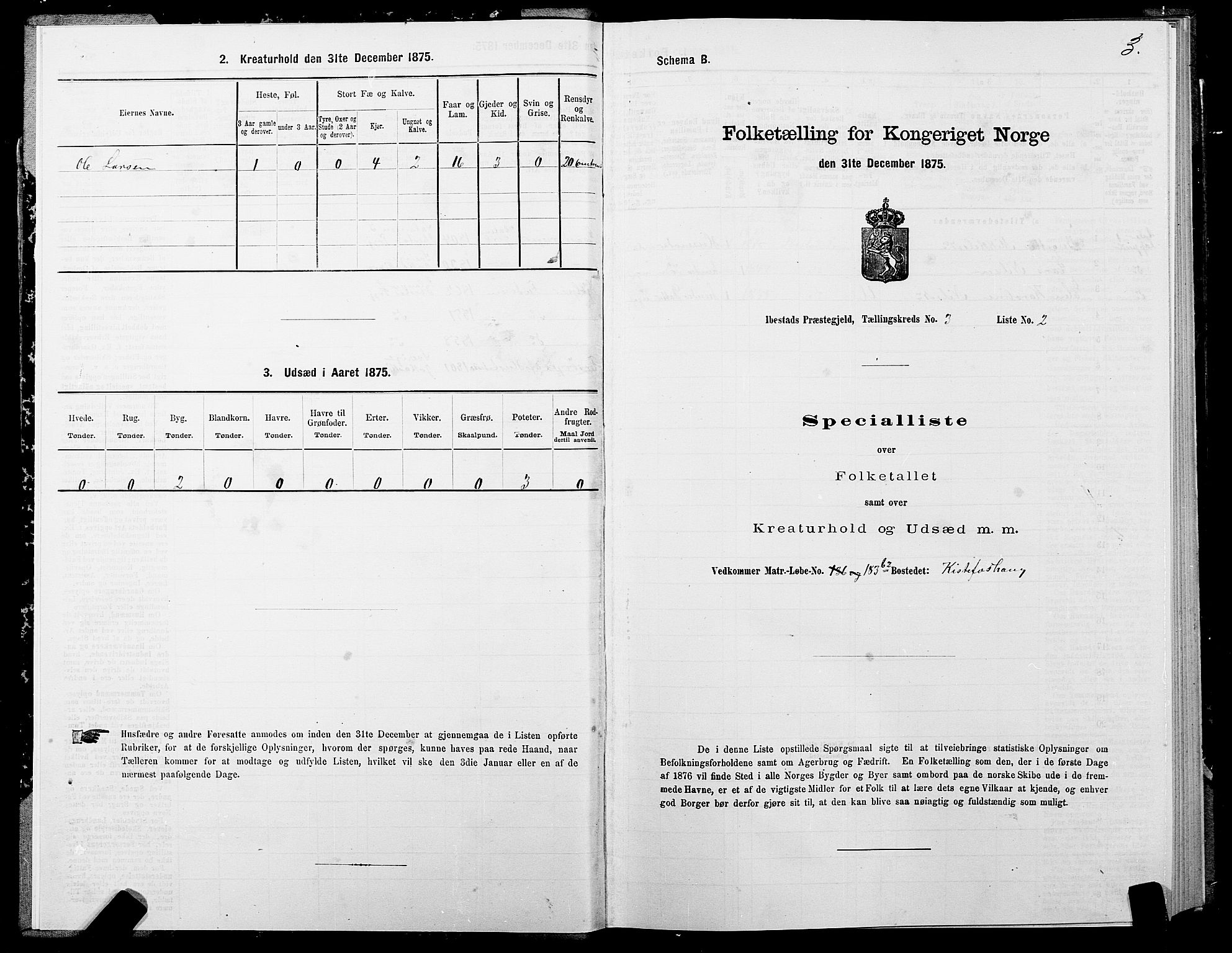 SATØ, 1875 census for 1917P Ibestad, 1875, p. 2003