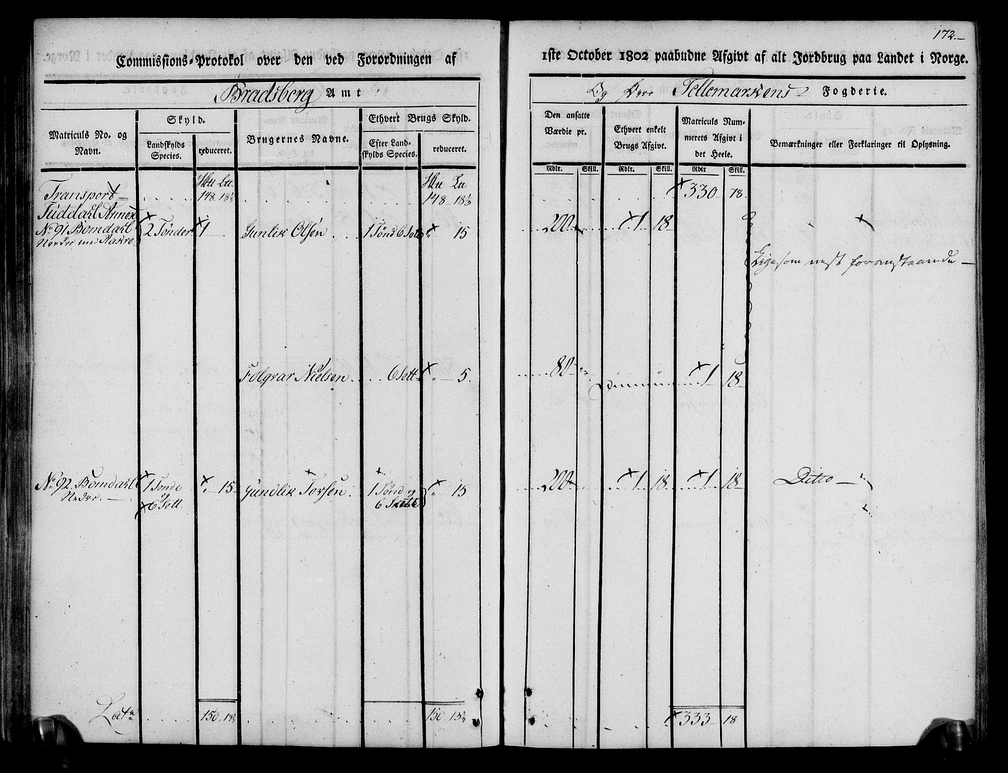 Rentekammeret inntil 1814, Realistisk ordnet avdeling, AV/RA-EA-4070/N/Ne/Nea/L0074: Øvre Telemarken fogderi. Kommisjonsprotokoll for fogderiets østre del - Tinn, Hjartdal og Seljord prestegjeld., 1803, p. 172