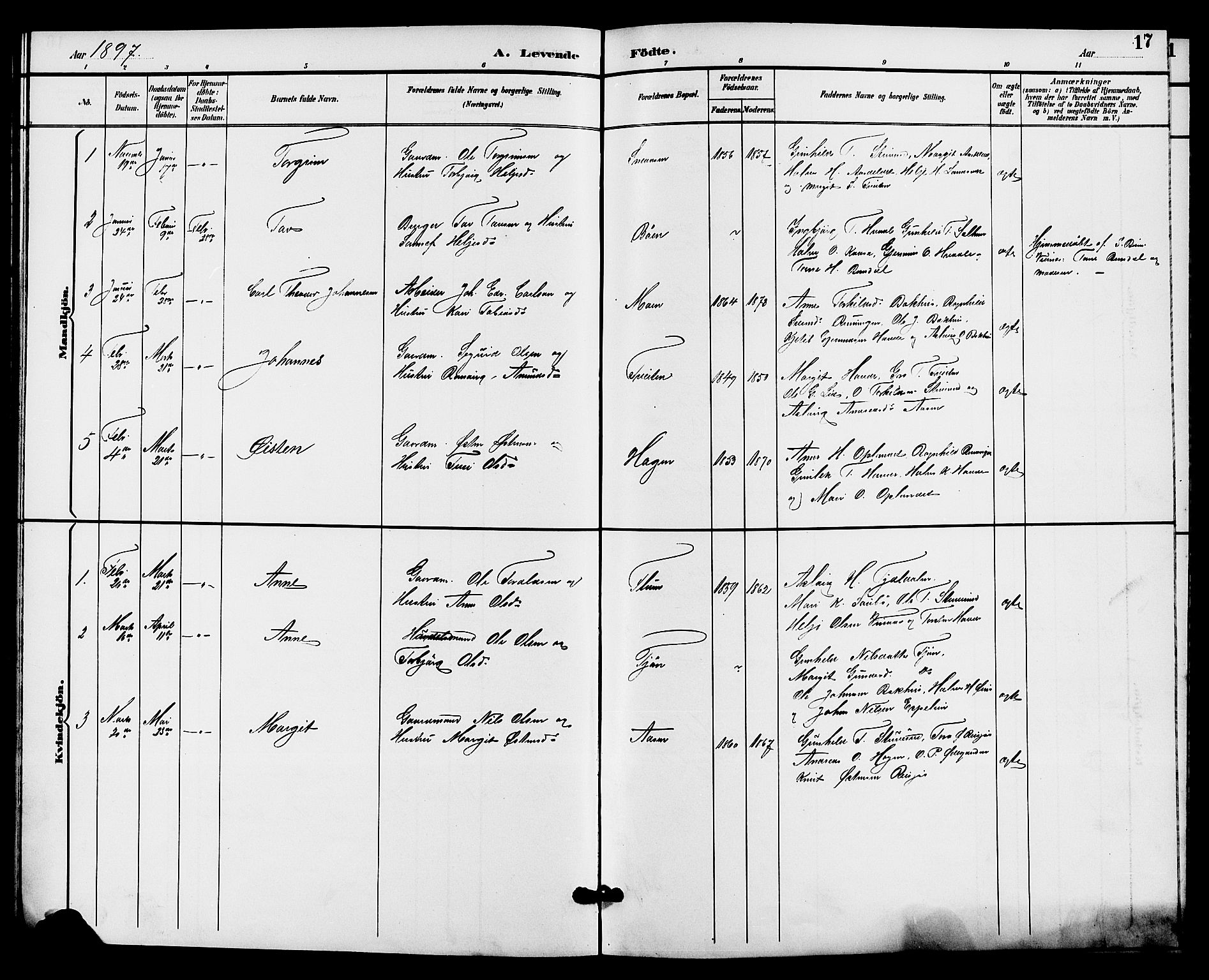 Hjartdal kirkebøker, SAKO/A-270/G/Gc/L0003: Parish register (copy) no. III 3, 1890-1907, p. 17