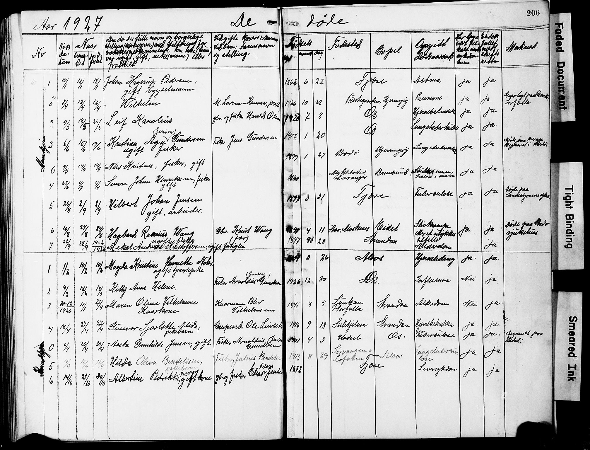 Ministerialprotokoller, klokkerbøker og fødselsregistre - Nordland, SAT/A-1459/803/L0077: Parish register (copy) no. 803C04, 1897-1930, p. 206