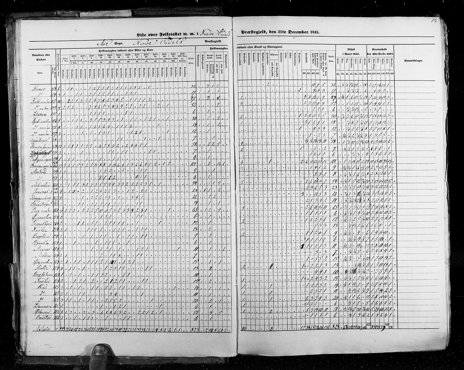 RA, Census 1845, vol. 3: Hedemarken amt og Kristians amt, 1845, p. 13